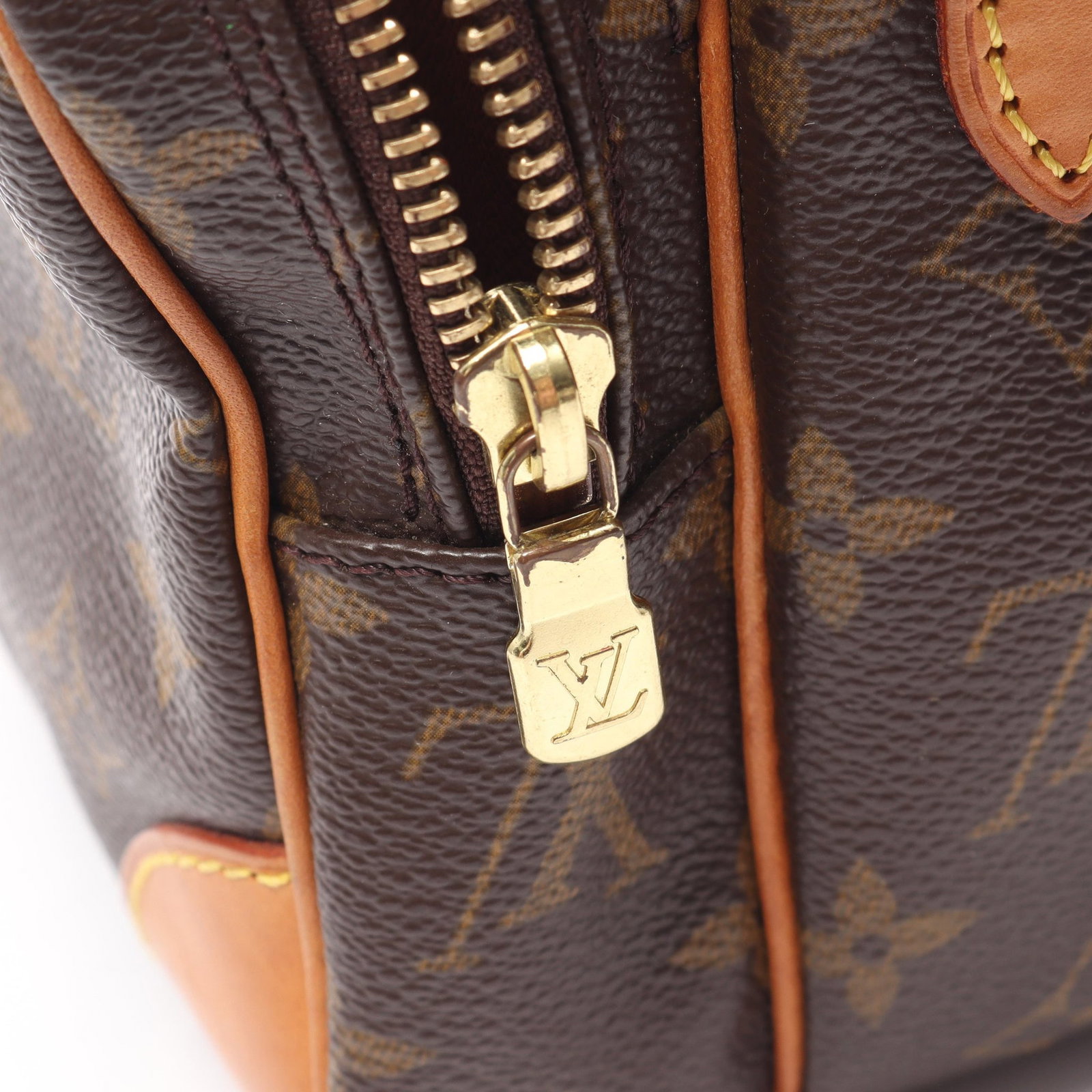 Louis Vuitton Amazon Monogram - 10