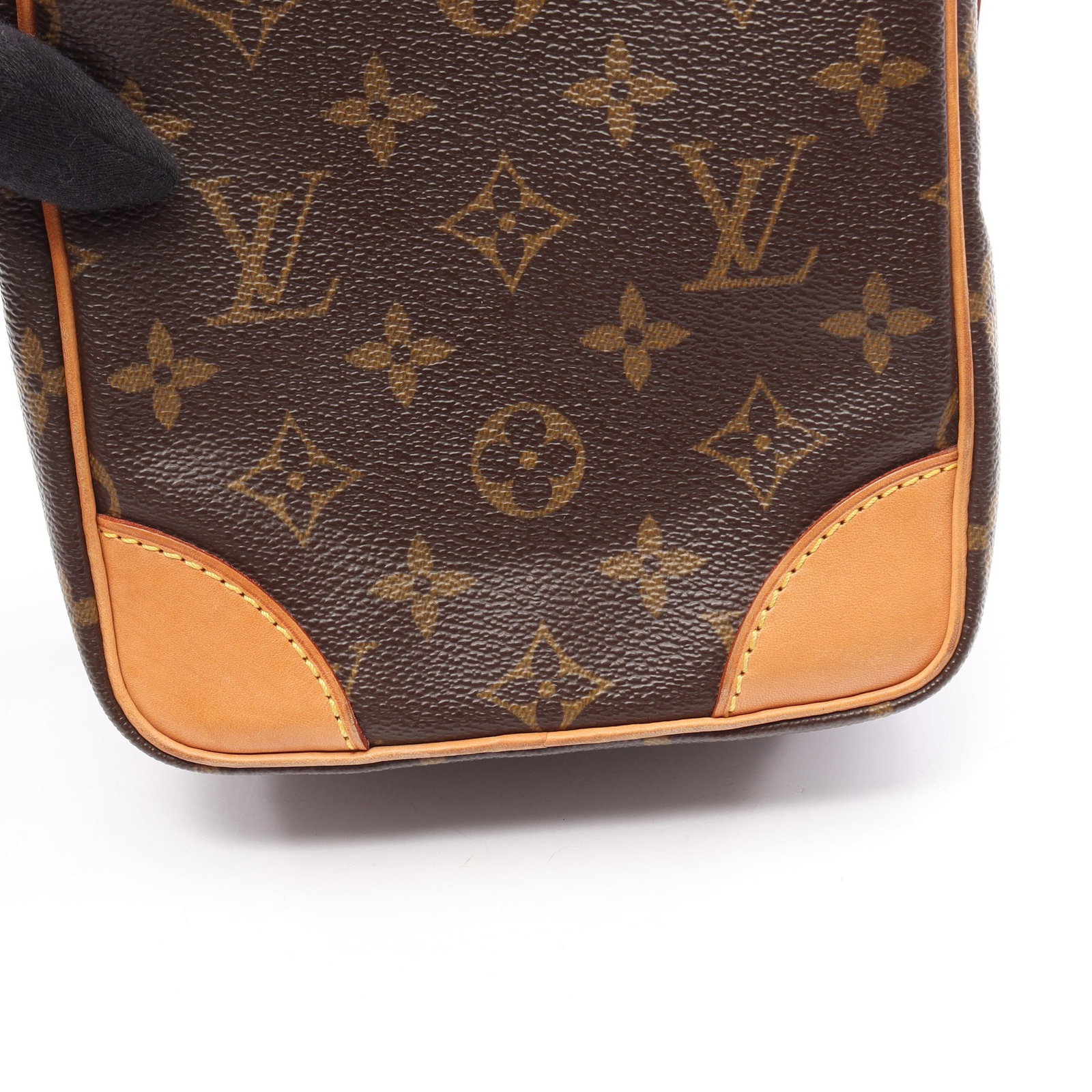 Louis Vuitton Amazon Monogram - 12