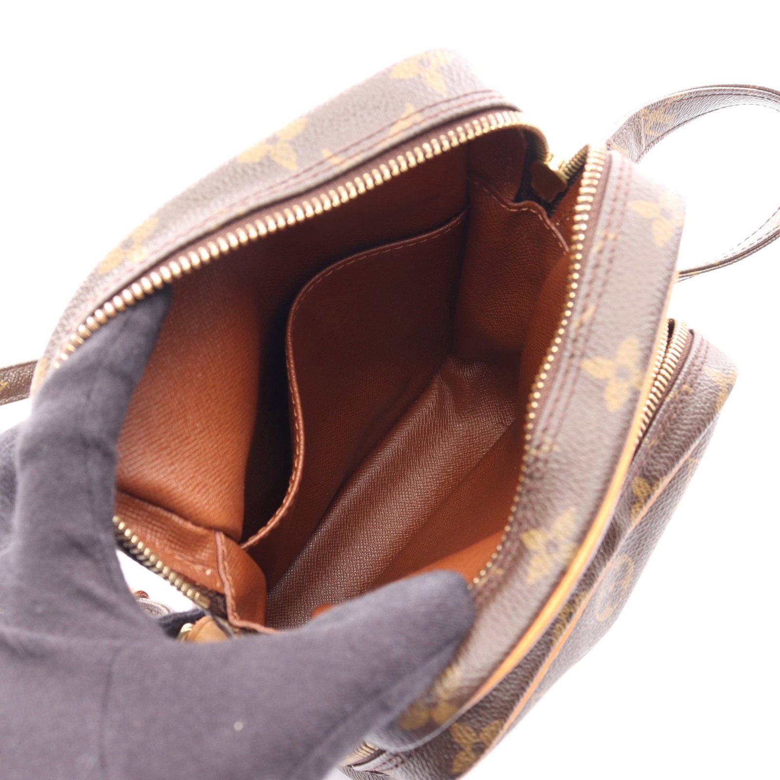 Louis Vuitton Amazon Monogram - 3