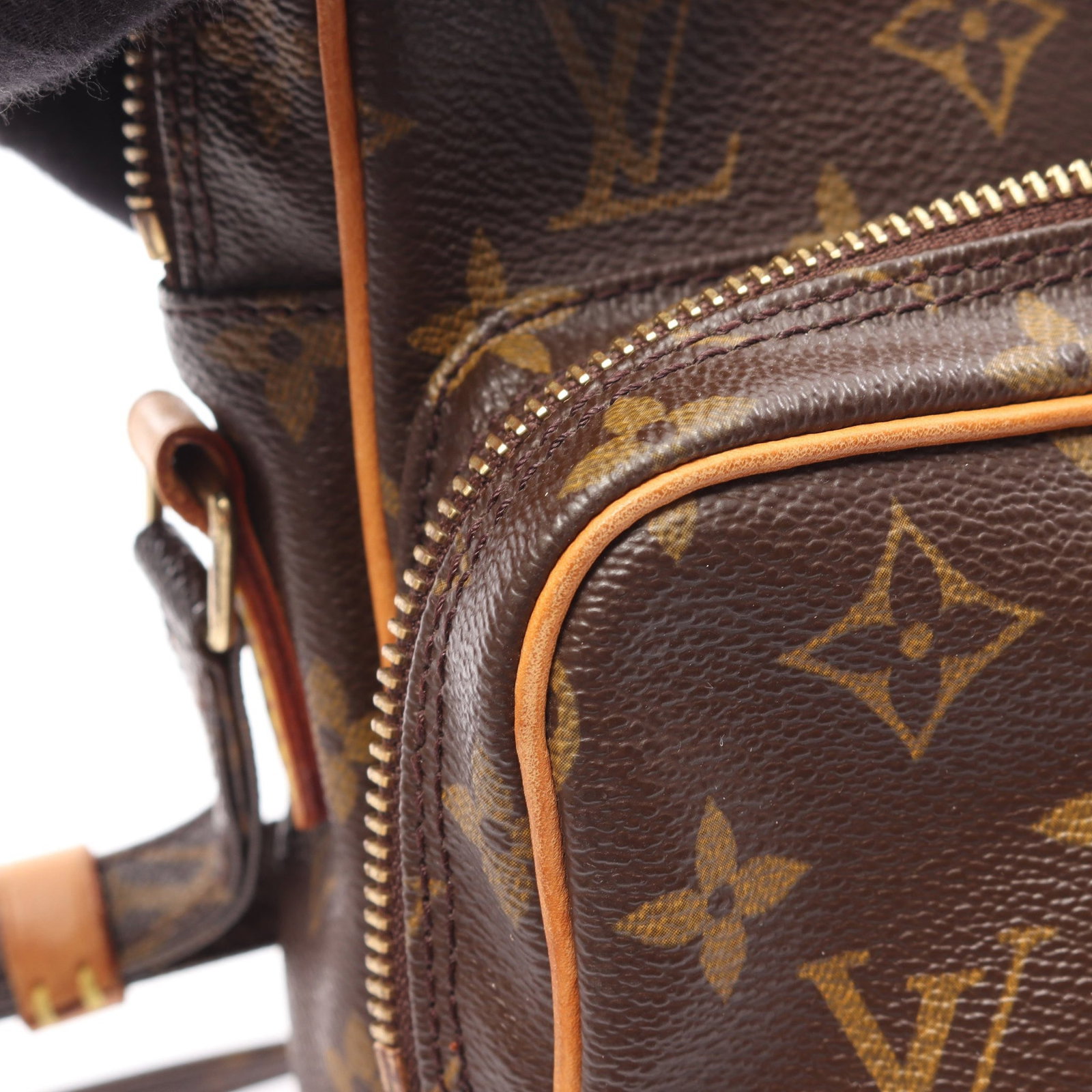 Louis Vuitton Amazon Monogram - 8