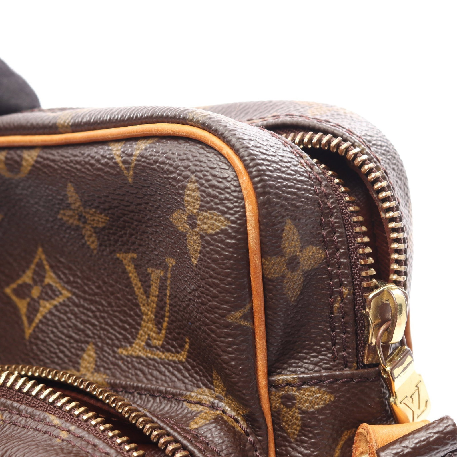 Louis Vuitton Amazon Monogram - 9