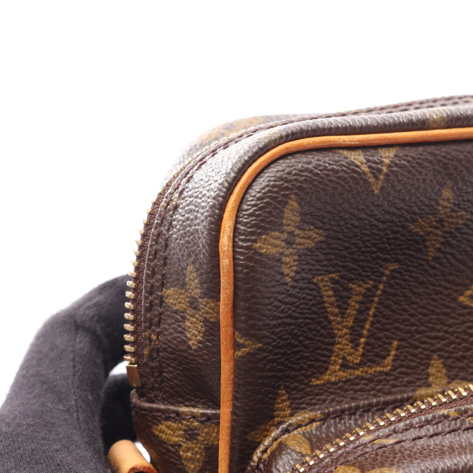 Louis Vuitton Amazon Monogram - 7
