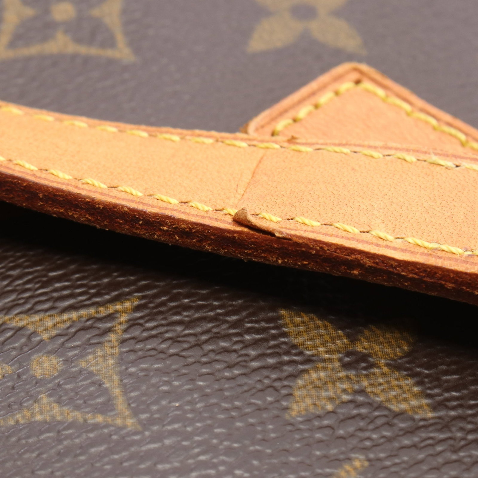 Louis Vuitton Vavin GM Monogram - 9
