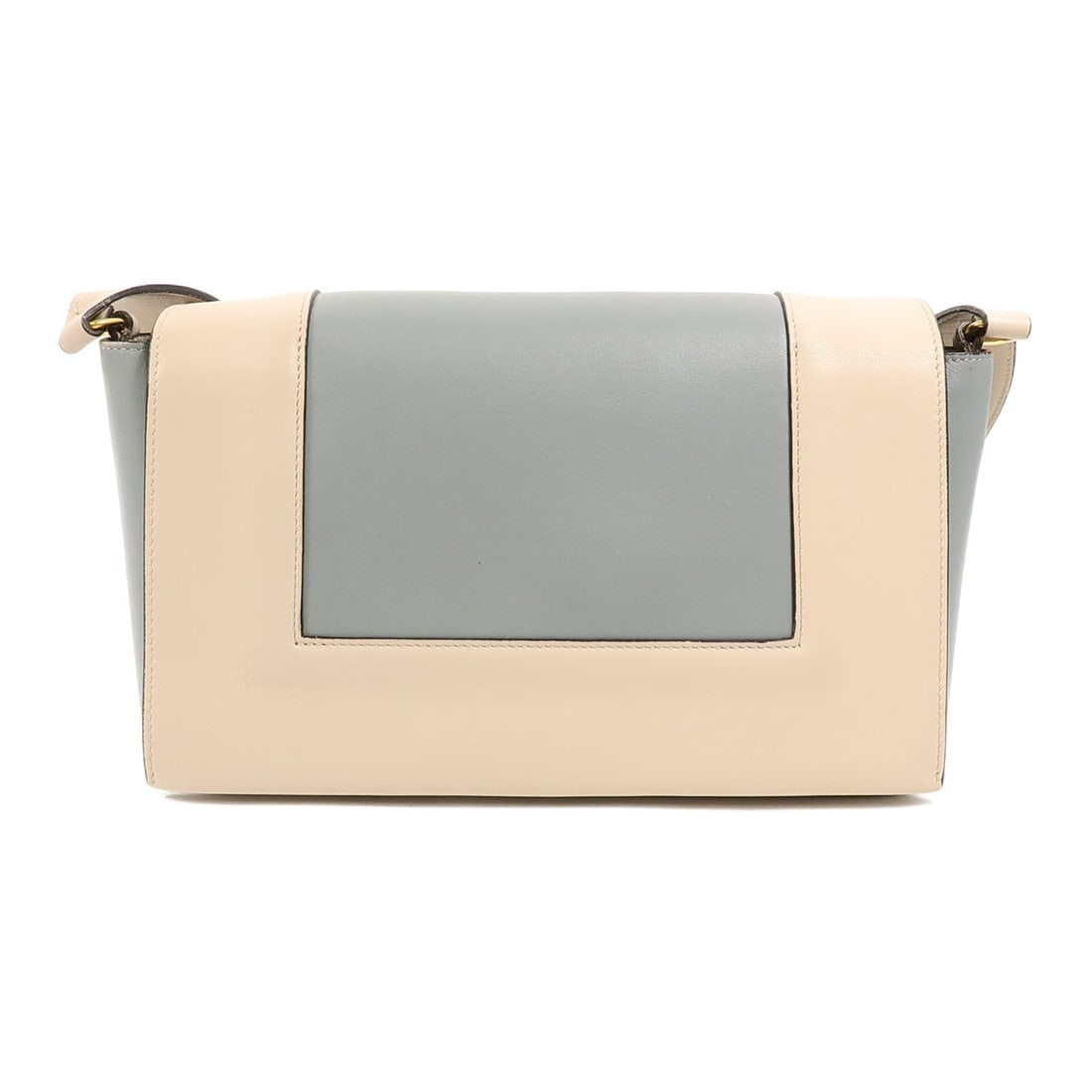 Celine Frame Medium Beige/Blue - 2