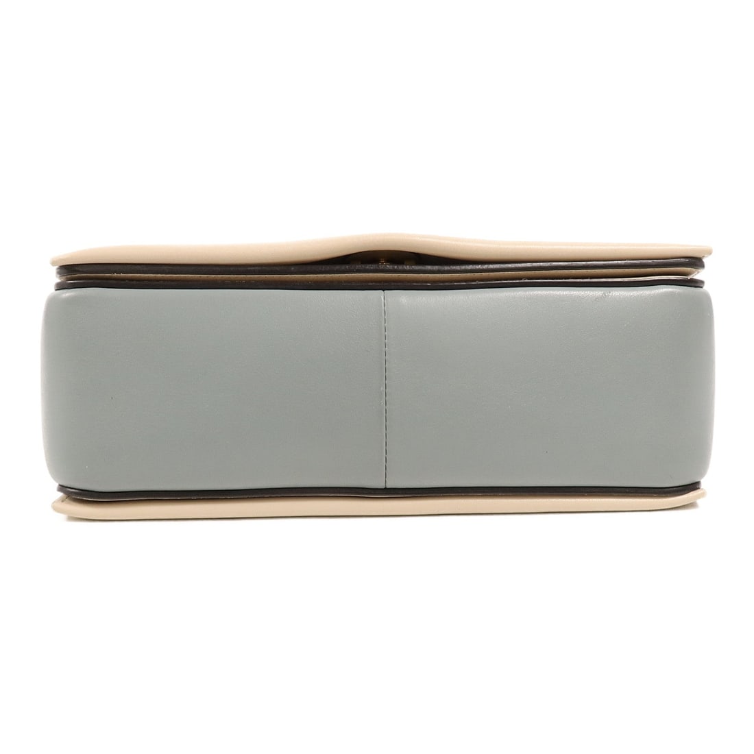 Celine Frame Medium Beige/Blue - 4