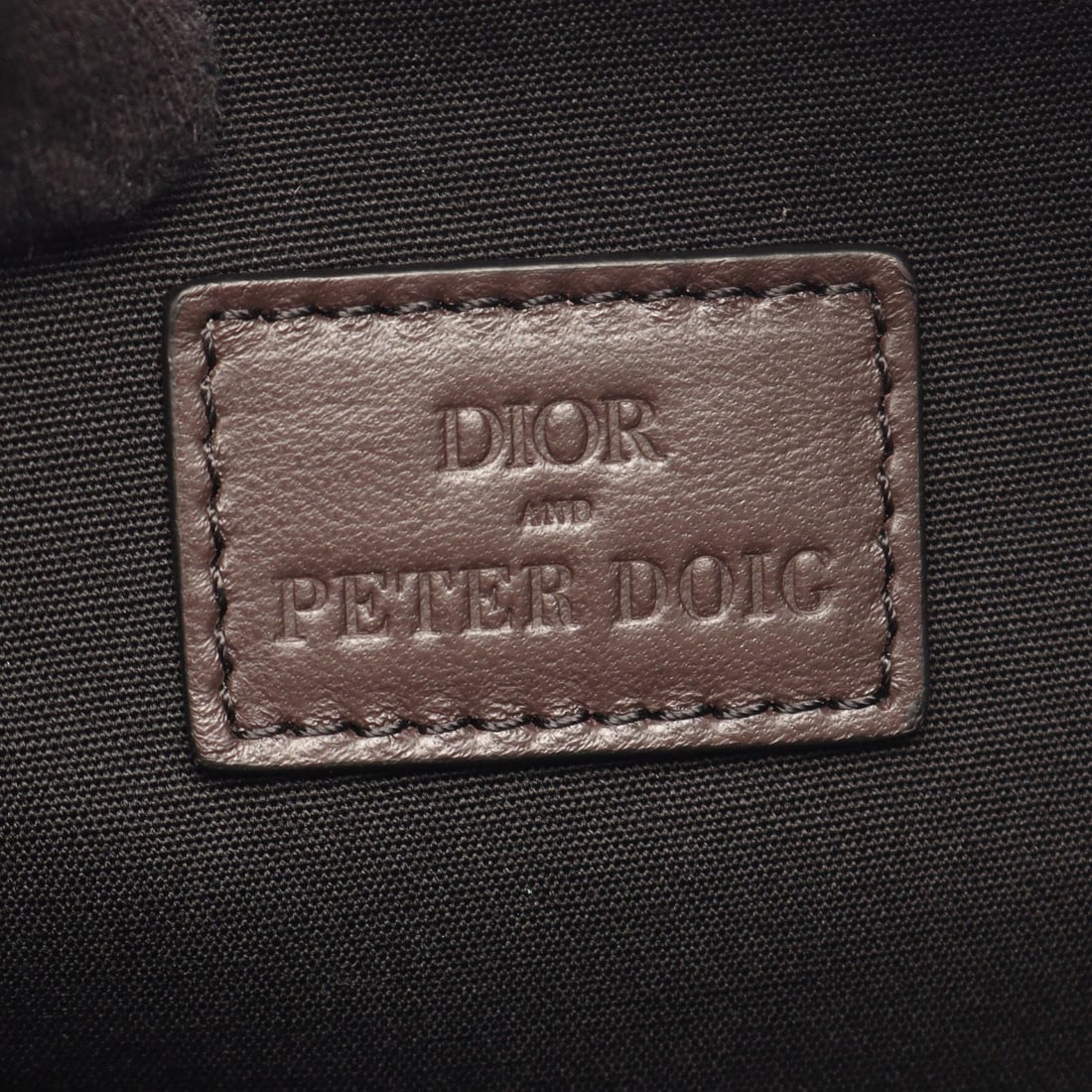 Dior x Peter Doig Saddle Blue - 4