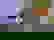 item-7811263=4