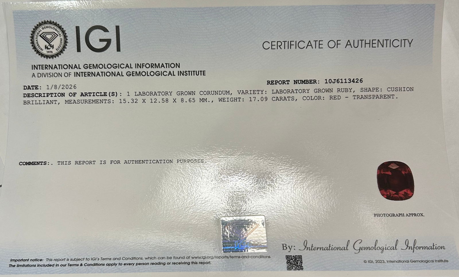 Lab Grown HUGE 17.09 ct Ruby Oval Cut transparent - 3