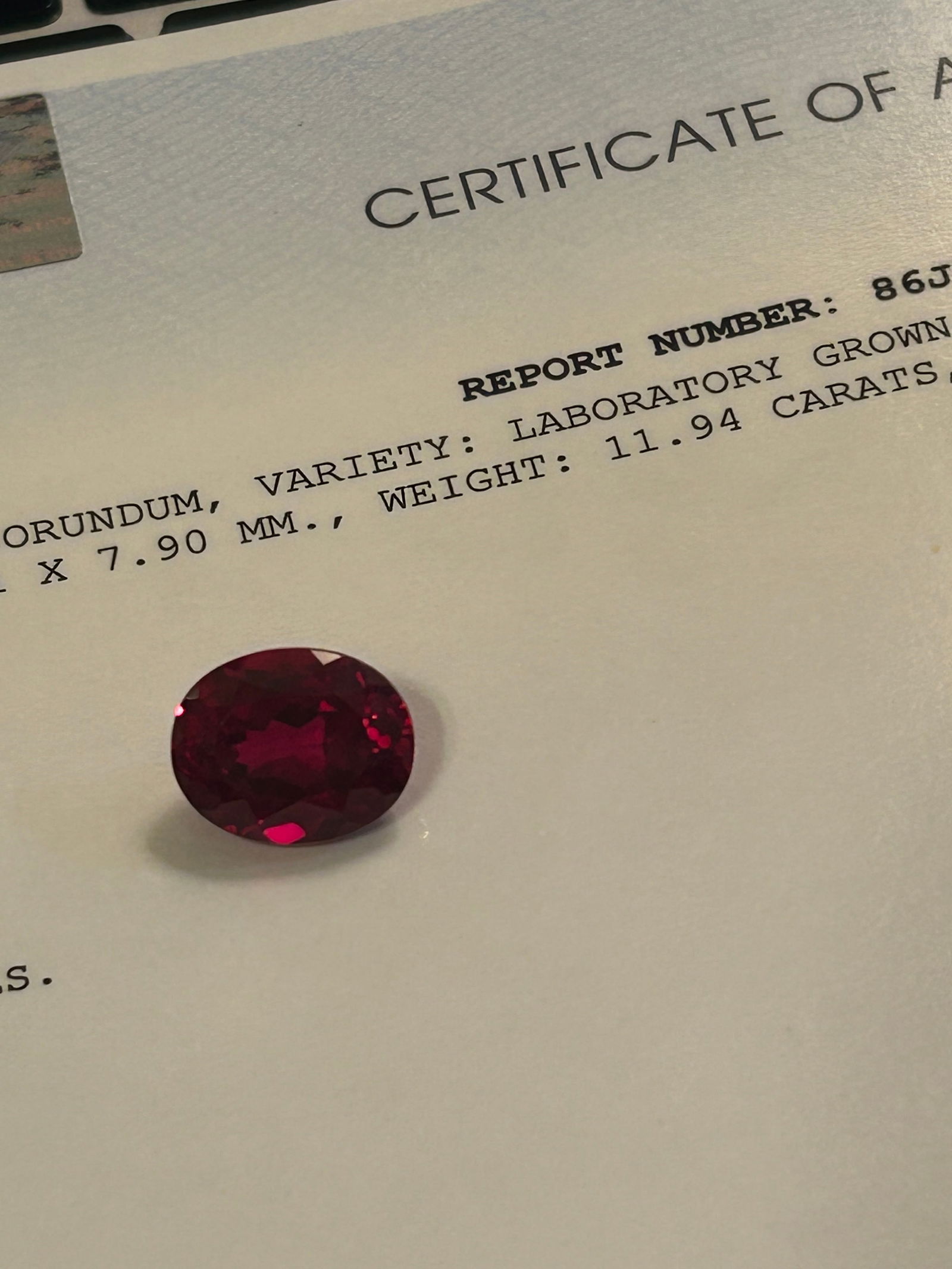 Lab Grown Ruby Oval Cut 11 ct: a large, high-clarity, and vividly colored synthetic corundum exhibiting a "pigeon blood" red hue. These stones offer the same physical, chemical, and optical properties as natural rubies. They are, h