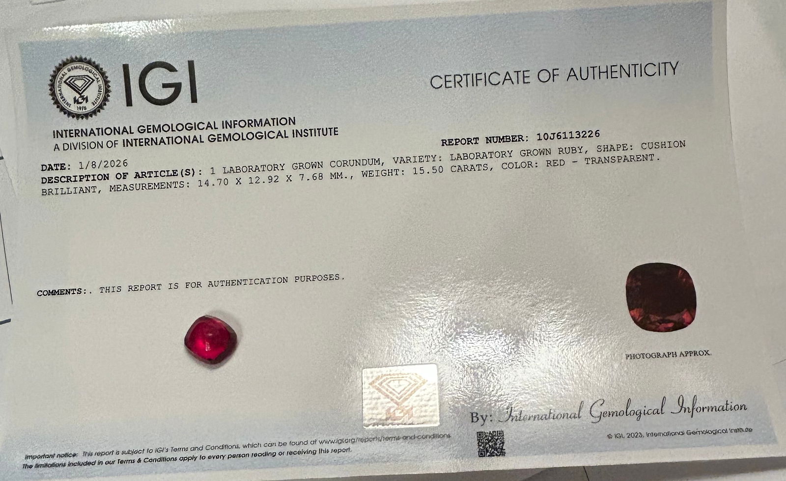 Ruby 15.5 ct Oval Cushion Cut transparent - 2