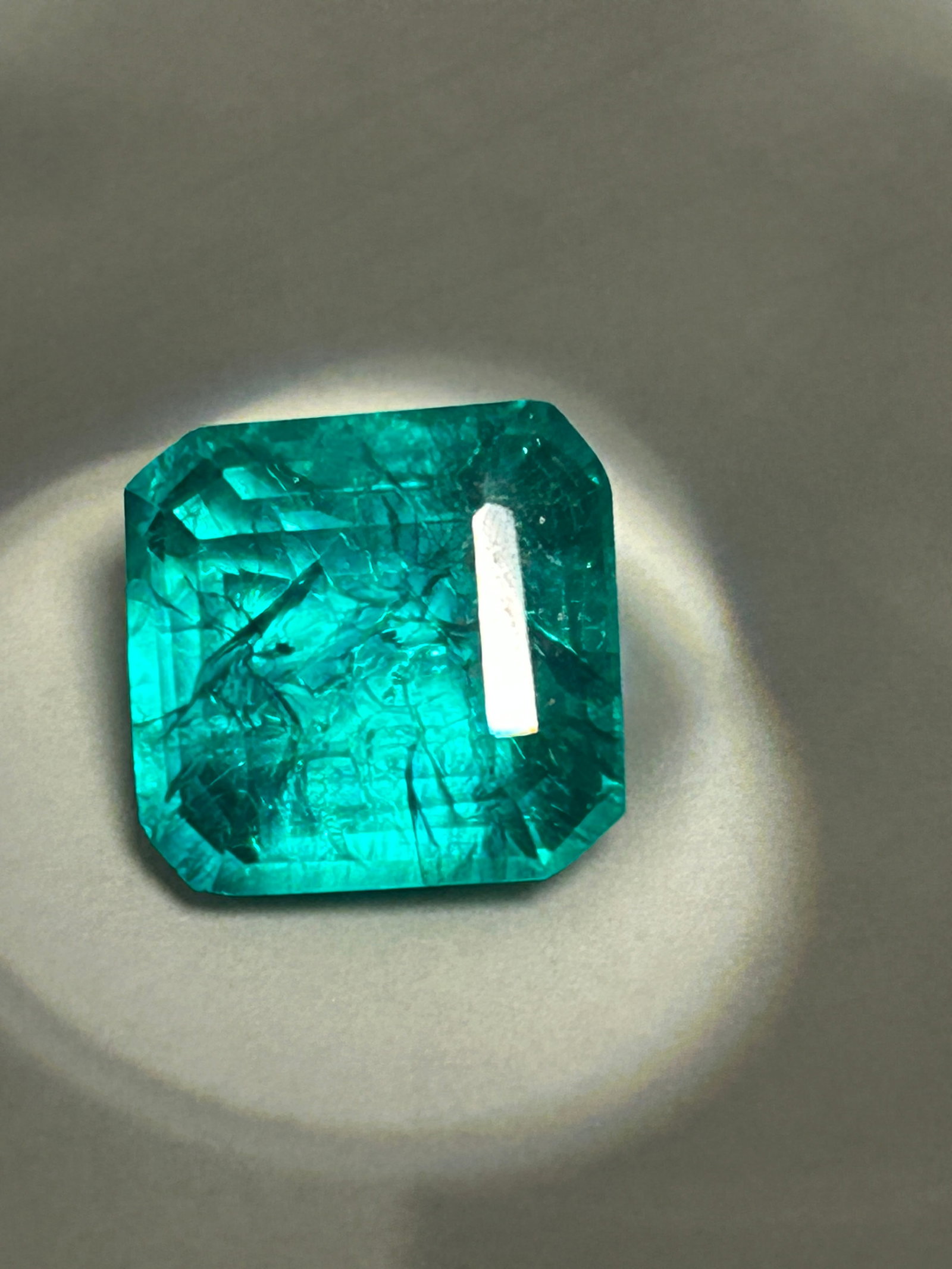 9.00 Carat Green Emerald Radiant Cut GGI Certified (1 of 6)