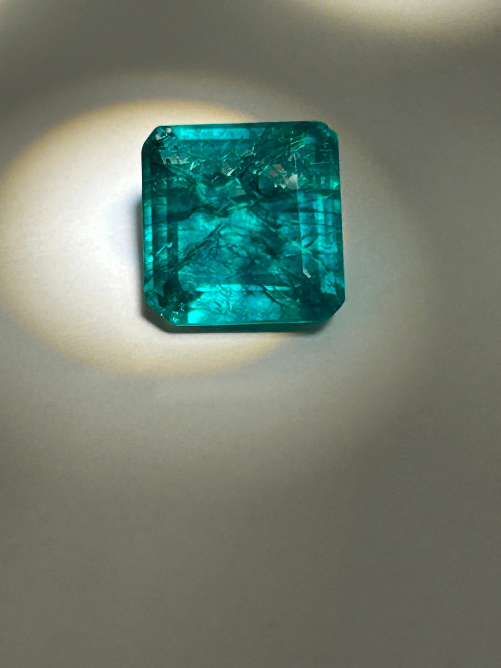 7.20 Carat --- Colombian Green Emerald --- Asscher Cut --- EGL Certified: A magnificent gemstone. Weighing over 7 carats, it possesses an imposing, investment-grade presence that beautifully highlights the unique properties of both the gem and its cut.