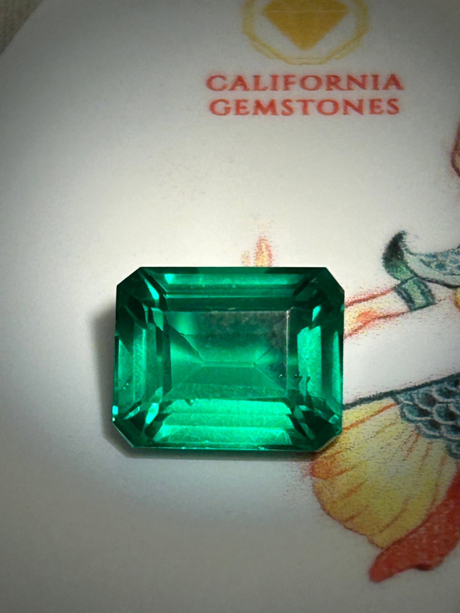 10.05 Carat Andradite Garnet Emerald Step Cut: a classic Emerald Step Cut, a shape prized for its elegant "quiet luxury". As a gem-quality piece from the prestigious Andradite branch of the garnet family, a stone of this scale is a highly collecti