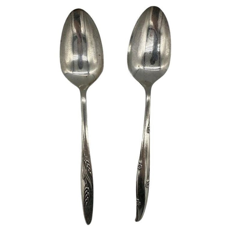 Mid-century "Silver Flower" & "Song of Autumn" Serving Spoons by Oneida Silver (1 of 5)