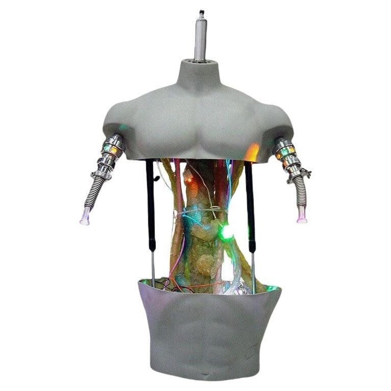 Terminator 3: Rise of the Machines Experimental T-101 Torso Screen Used Prop: The Original Screen used “Terminator Model-101 Prototype Torso,” which was made for the 2003 Sci-Fi Action Blockbuster "Terminator 3: Rise of the Machines" starring Arnold Schwarzenegger.