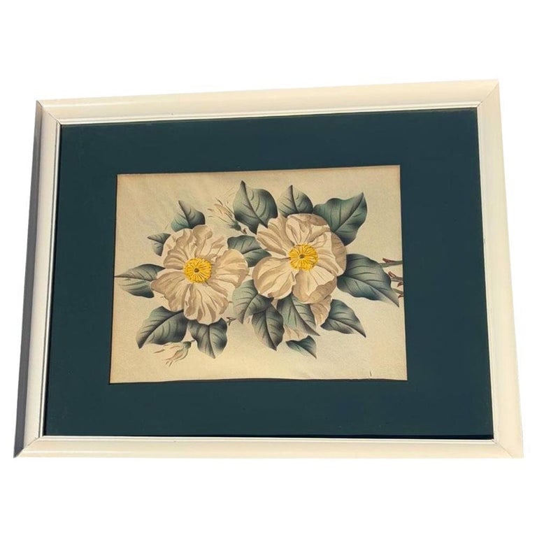 Mid Century White Camellia Botanical Floral Lithograph Print in Original Frame: This vintage hand-drawn illustration of a California poppy radiates delicate charm, with its vibrant white petals captured in meticulous detail. The artist’s skilled linework and soft shading highli