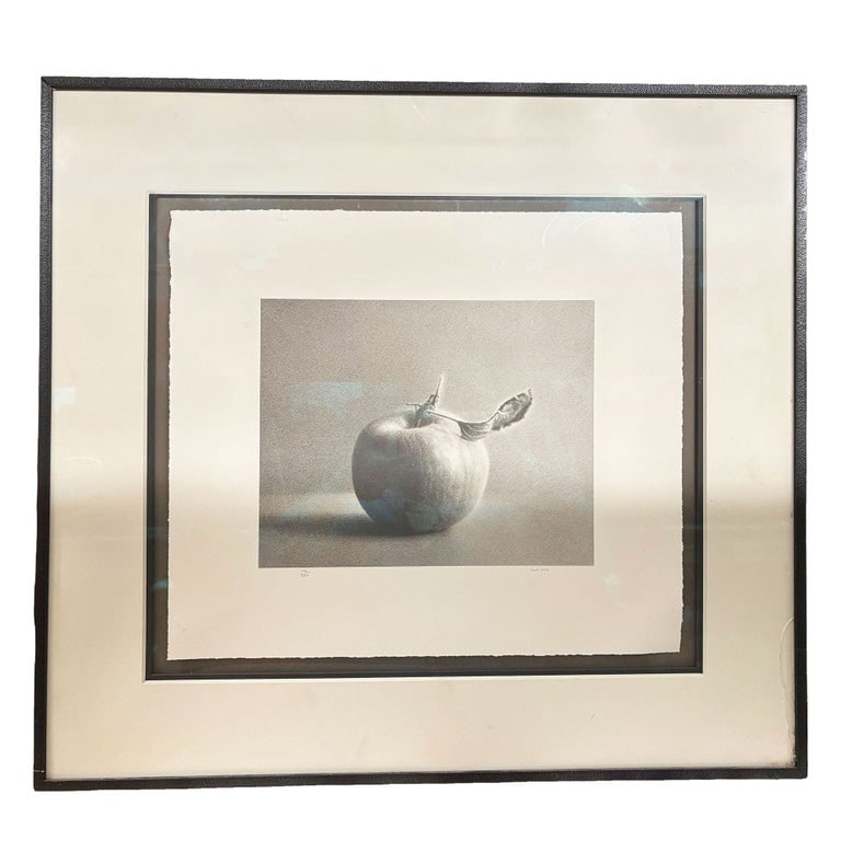 Framed Martha Alf "Apple" Still Life Lithograph Print Limited Signed (192/250): Noted artist Martha Alf, known for still life and pencil drawings of apples and pears, produced this lithograph, "Apples," on heavy watercolor paper with hand-torn deckle edges. The print quality is e
