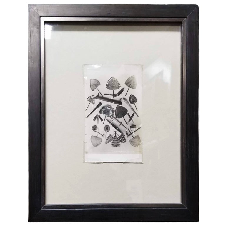 Samoan Fans Original Photography Print by Alfred James Tattersall: The Samoan Fans Original Photography Print by Alfred James Tattersall, is an original print, bearing the inscription "A.J.T Photo Apia Samoa 74. The frame is safeguarded with Tru Vue's conservation-gr