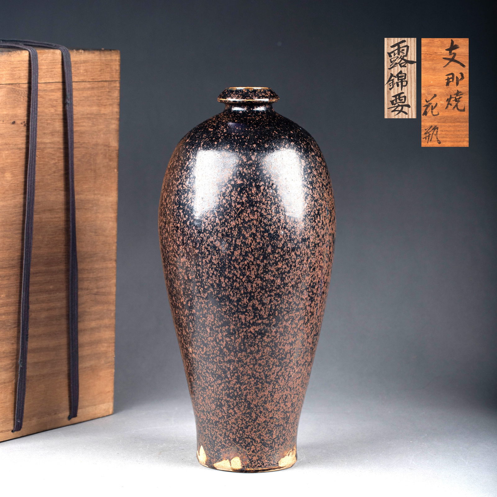 Song Dynasty, Henan Kiln Temmoku Iron-Rust Speckled Plum Vase (1 of 8)