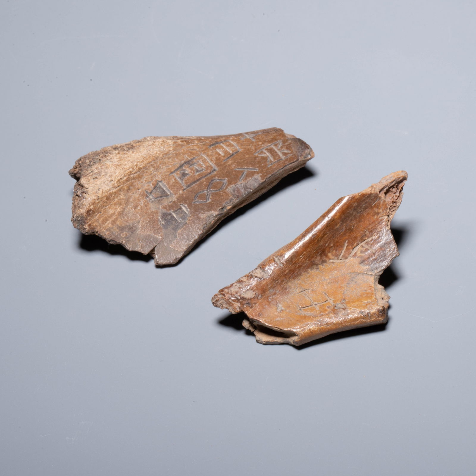 Shang Dynasty Oracle Bone Inscriptions (2 pieces) (1 of 4)