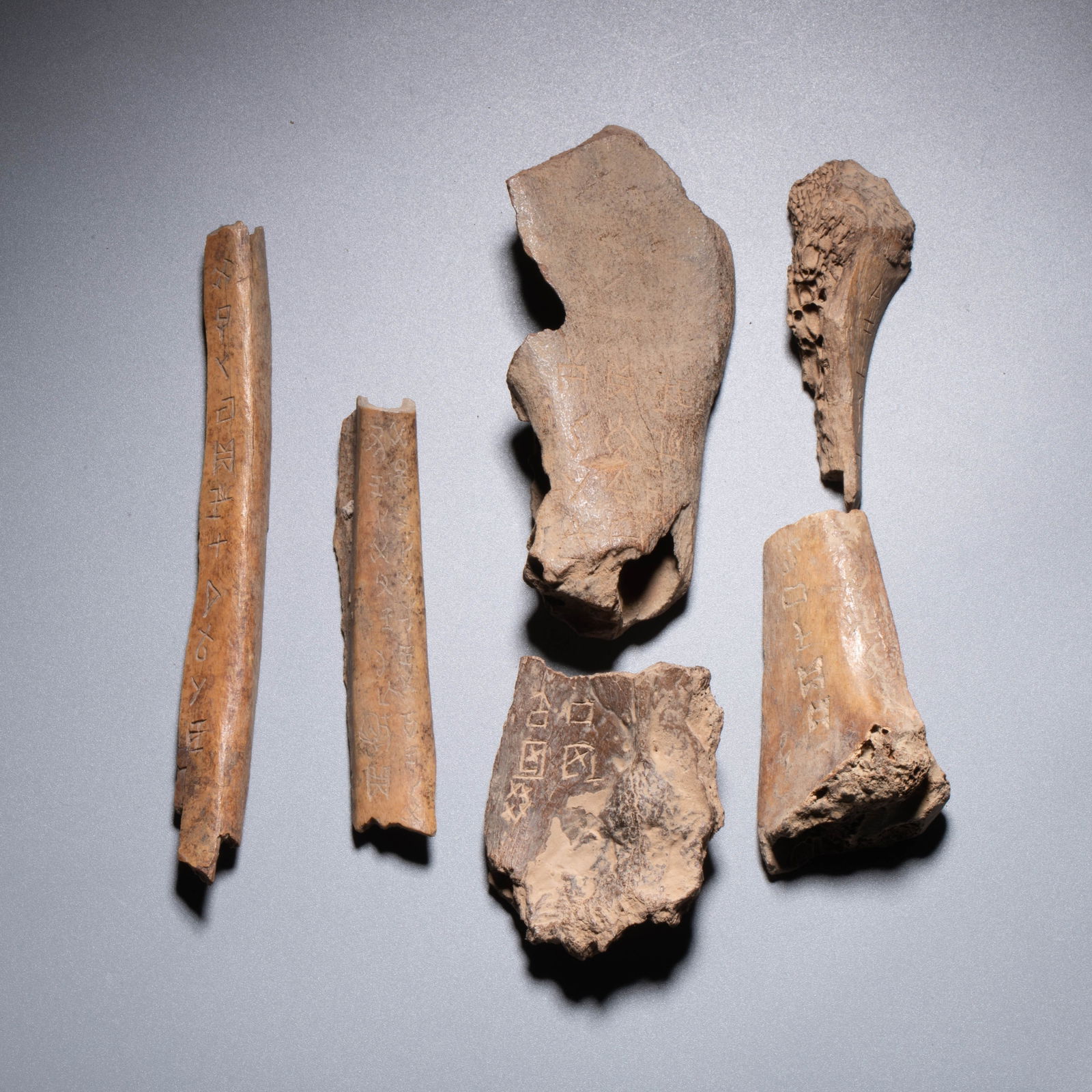 Shang Dynasty Oracle Bone Inscriptions (6 pieces) (1 of 5)