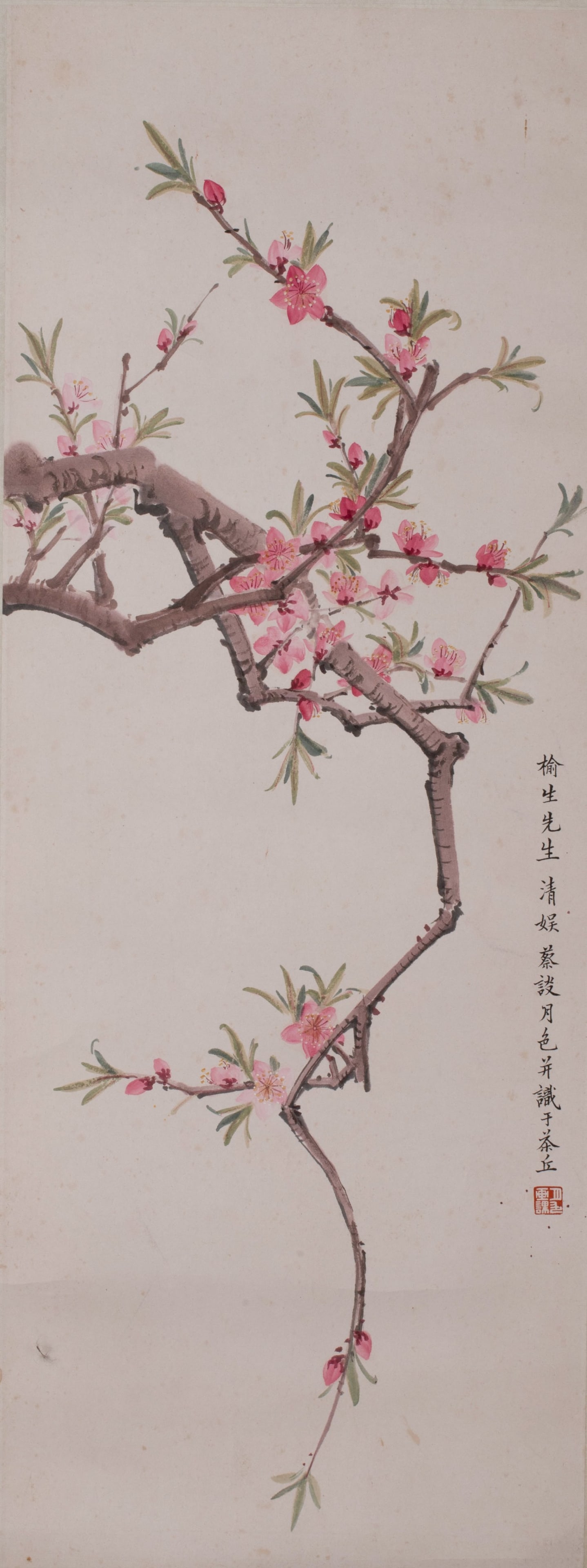 Talking about the Moonlight Plum Blossoms: Talking about the Moonlight Plum Blossoms