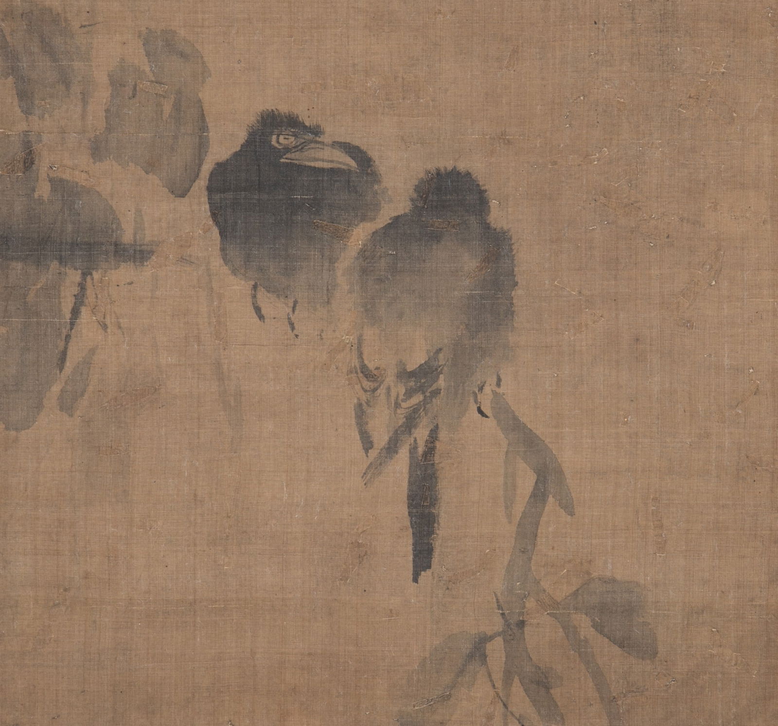 Anonymous Two Birds Picture: Anonymous Two Birds Picture