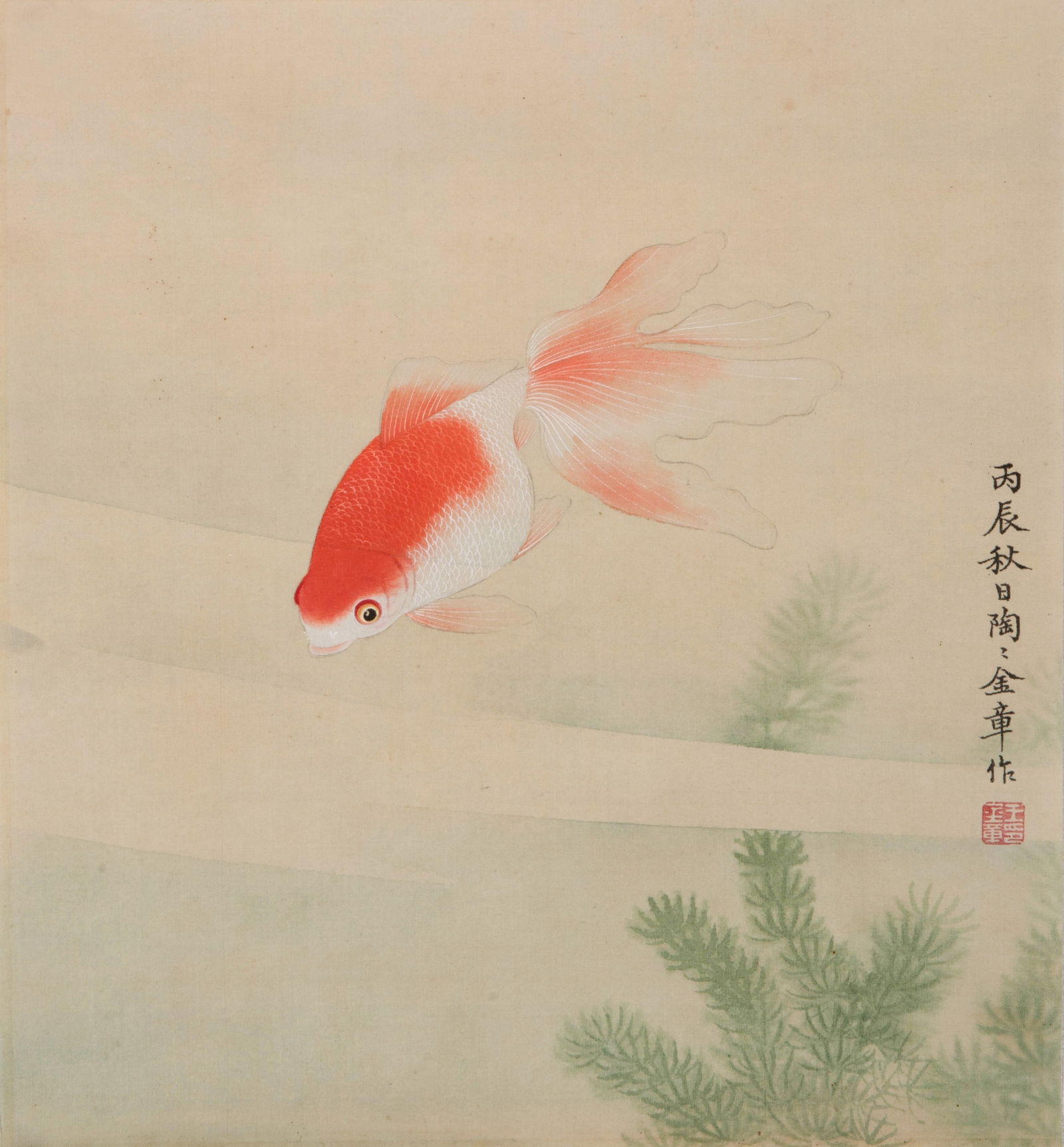 Gold medal goldfish: Gold medal goldfish