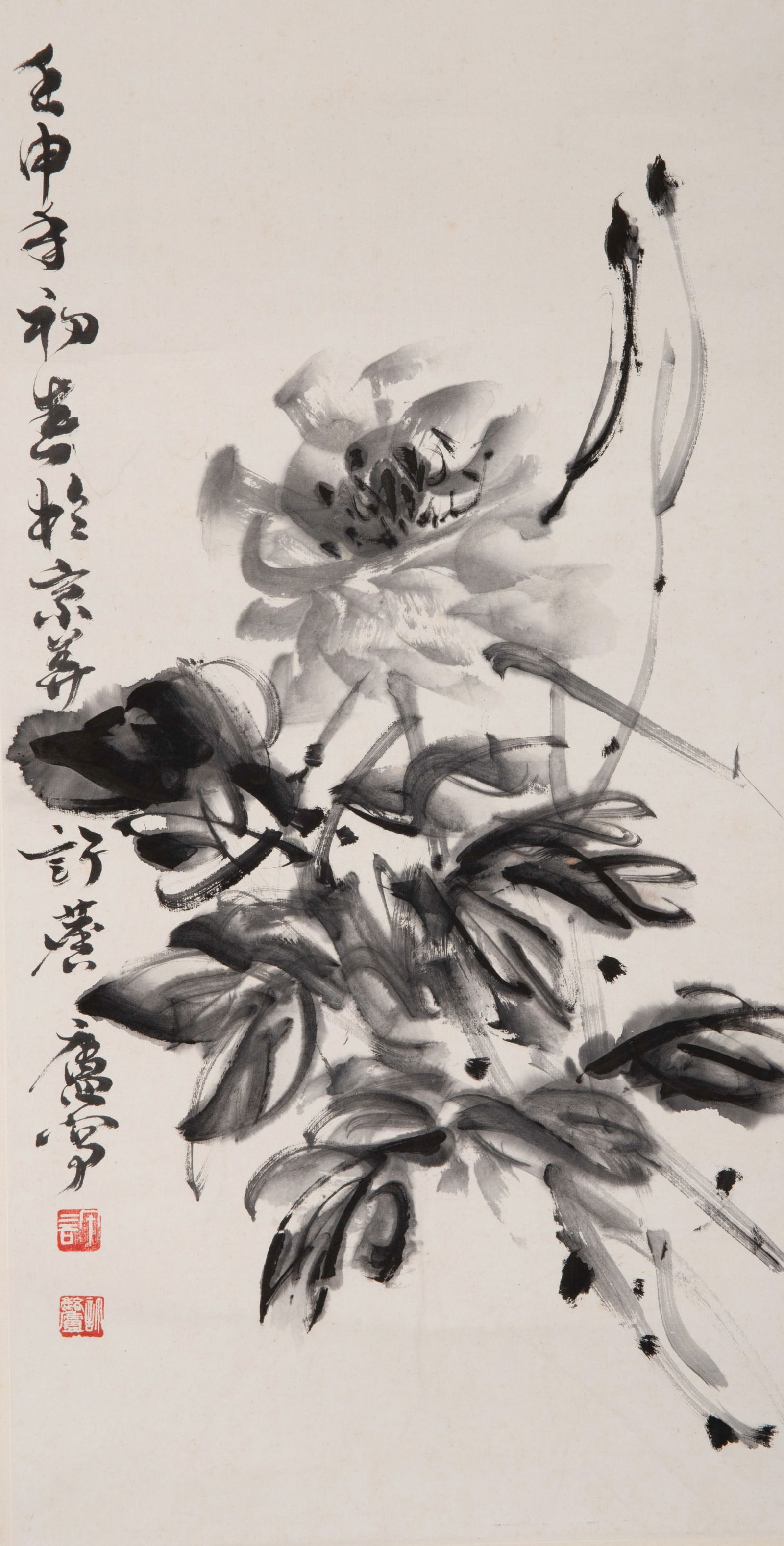 Xu Linlu Chrysanthemum: Xu Linlu Chrysanthemum