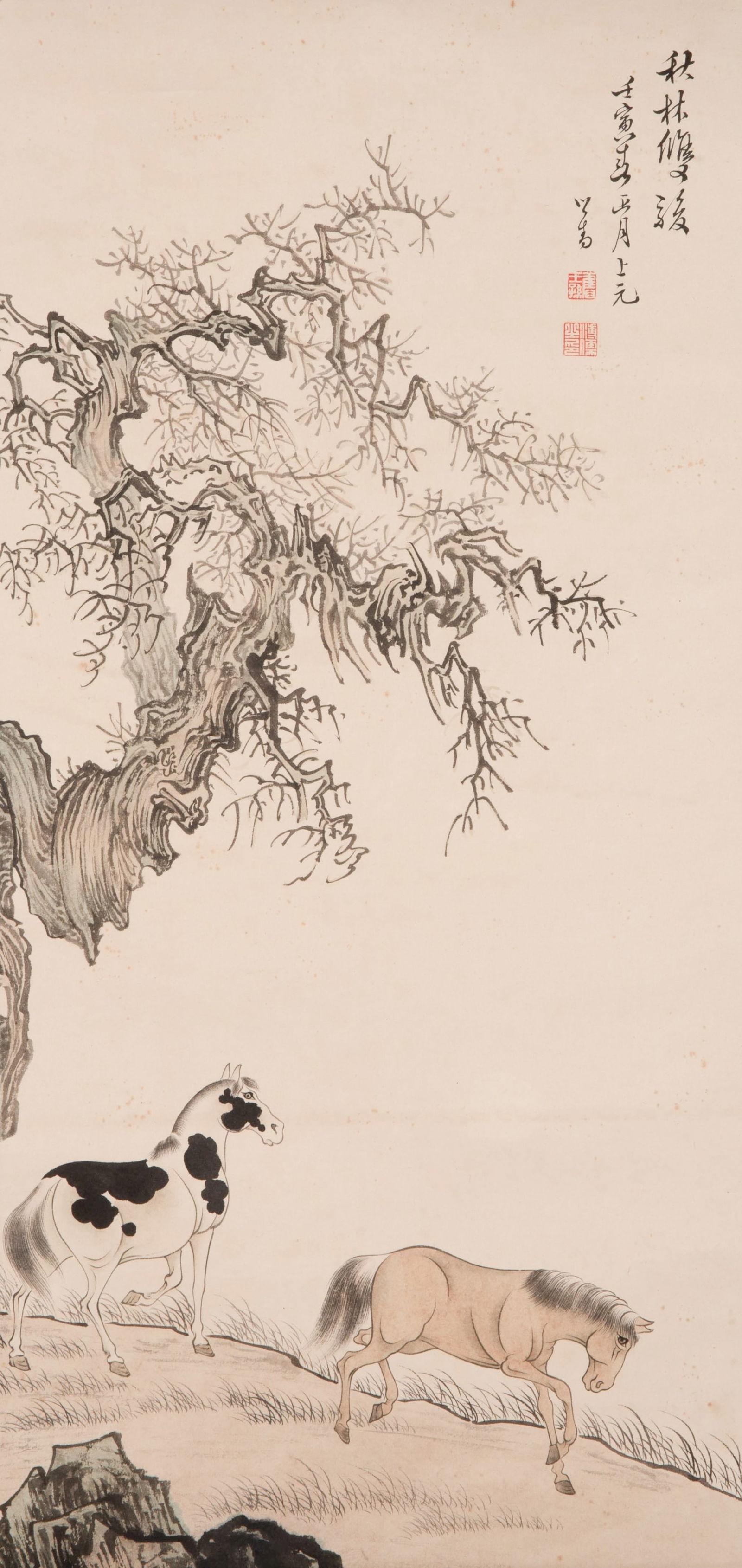 Puru Horse: Puru Horse