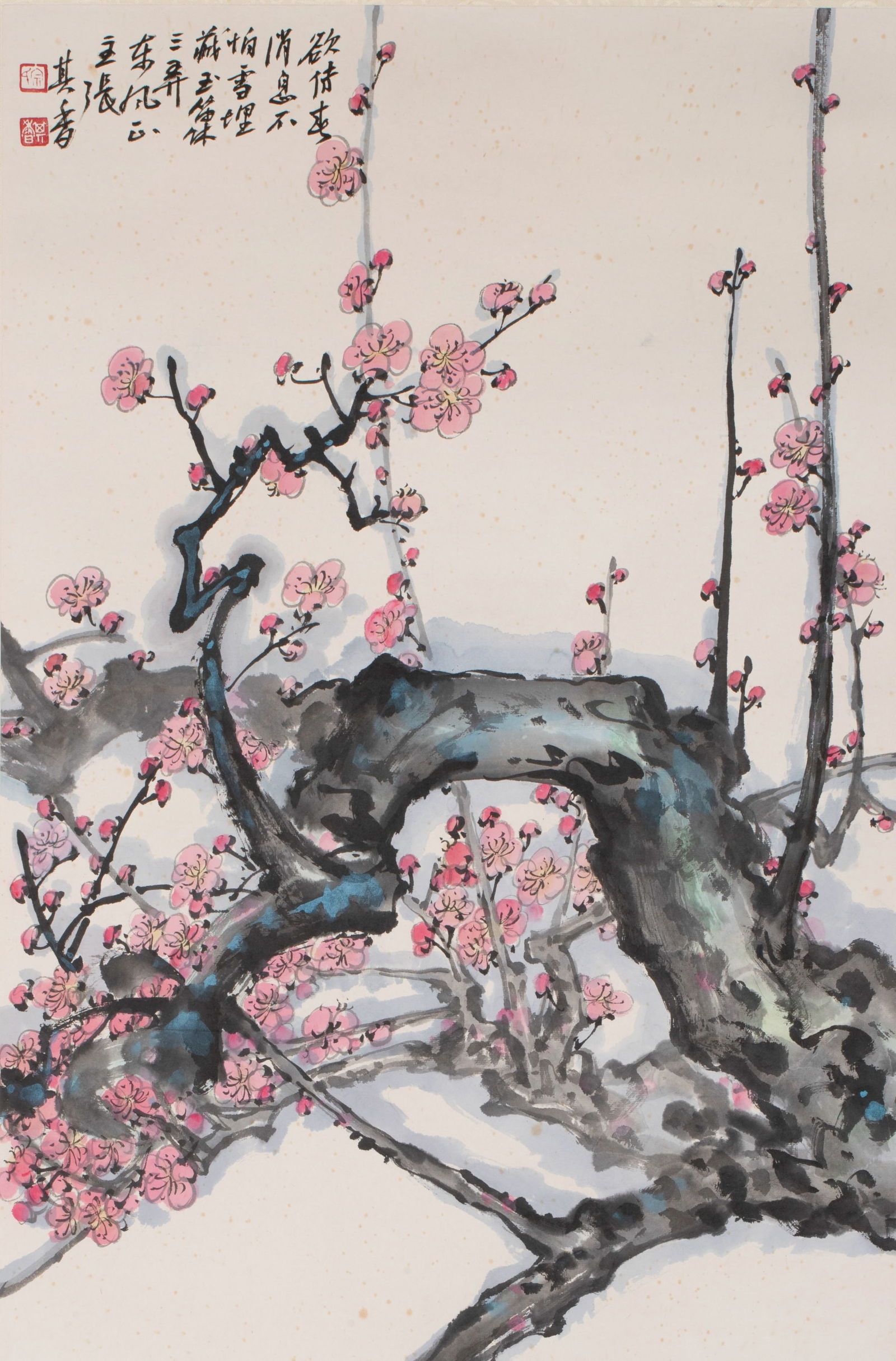 Zong Qixiang plum: Zong Qixiang plum