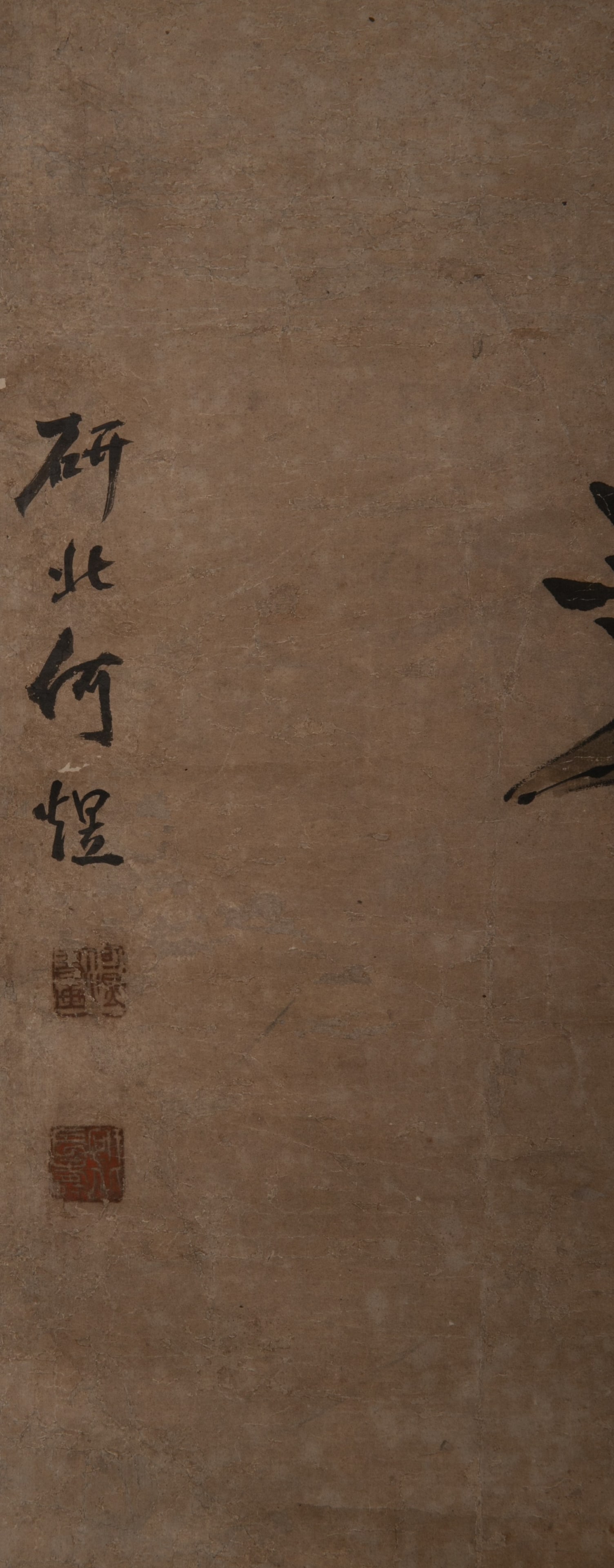 Anonymous Peacock - 7