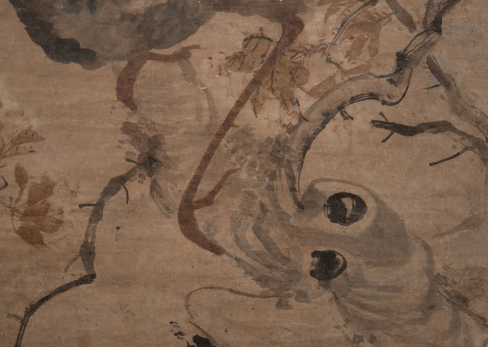 Anonymous Peacock - 8