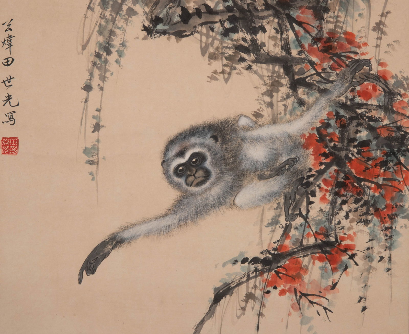 Tian Shiguang Monkey: Tian Shiguang Monkey