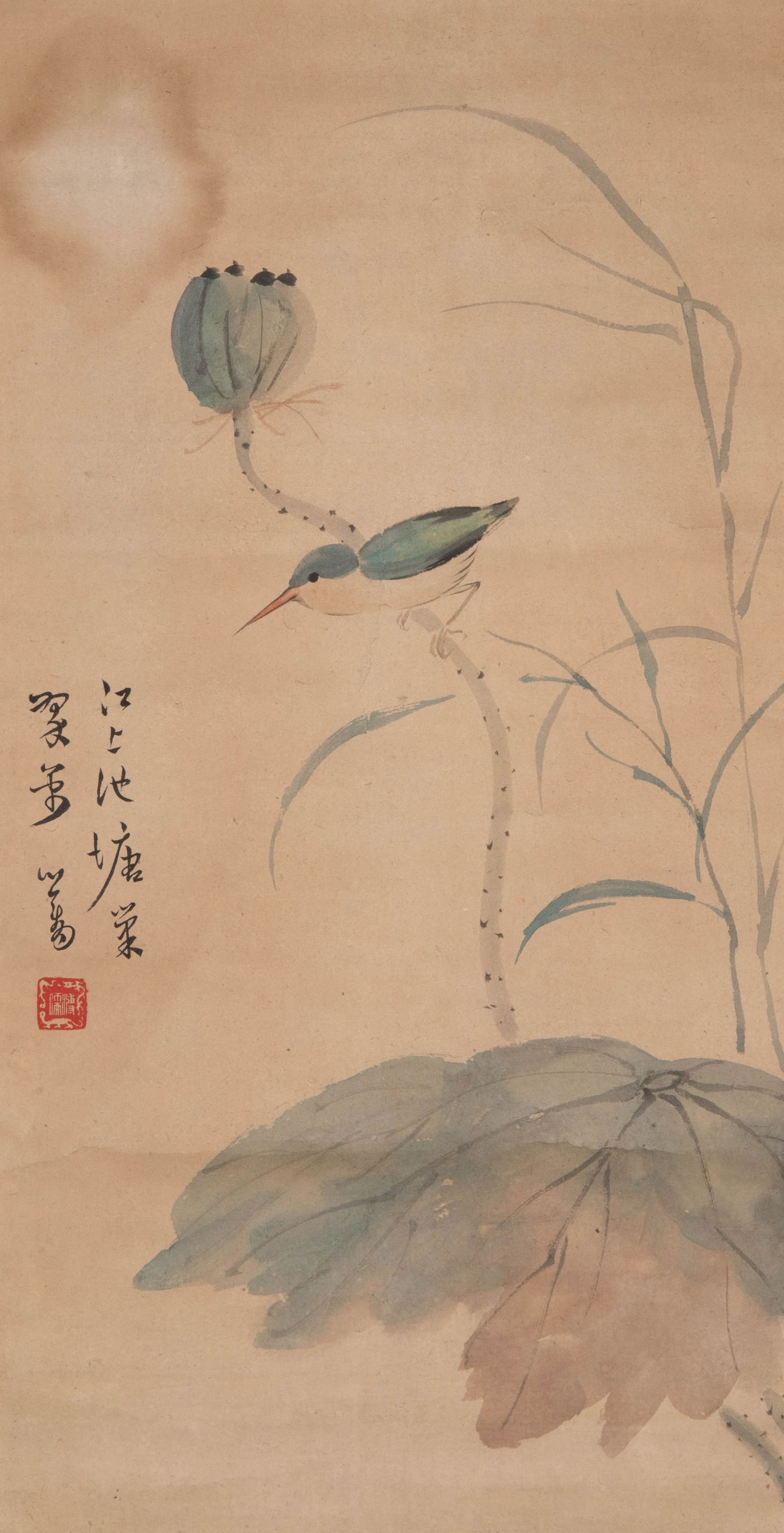 Puru flowers and birds: Puru flowers and birds