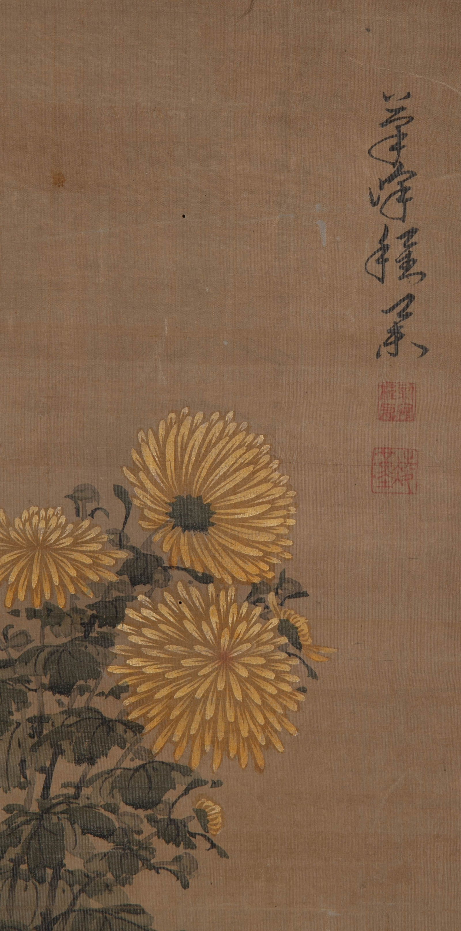 Anonymous Ammonite Picture - 3