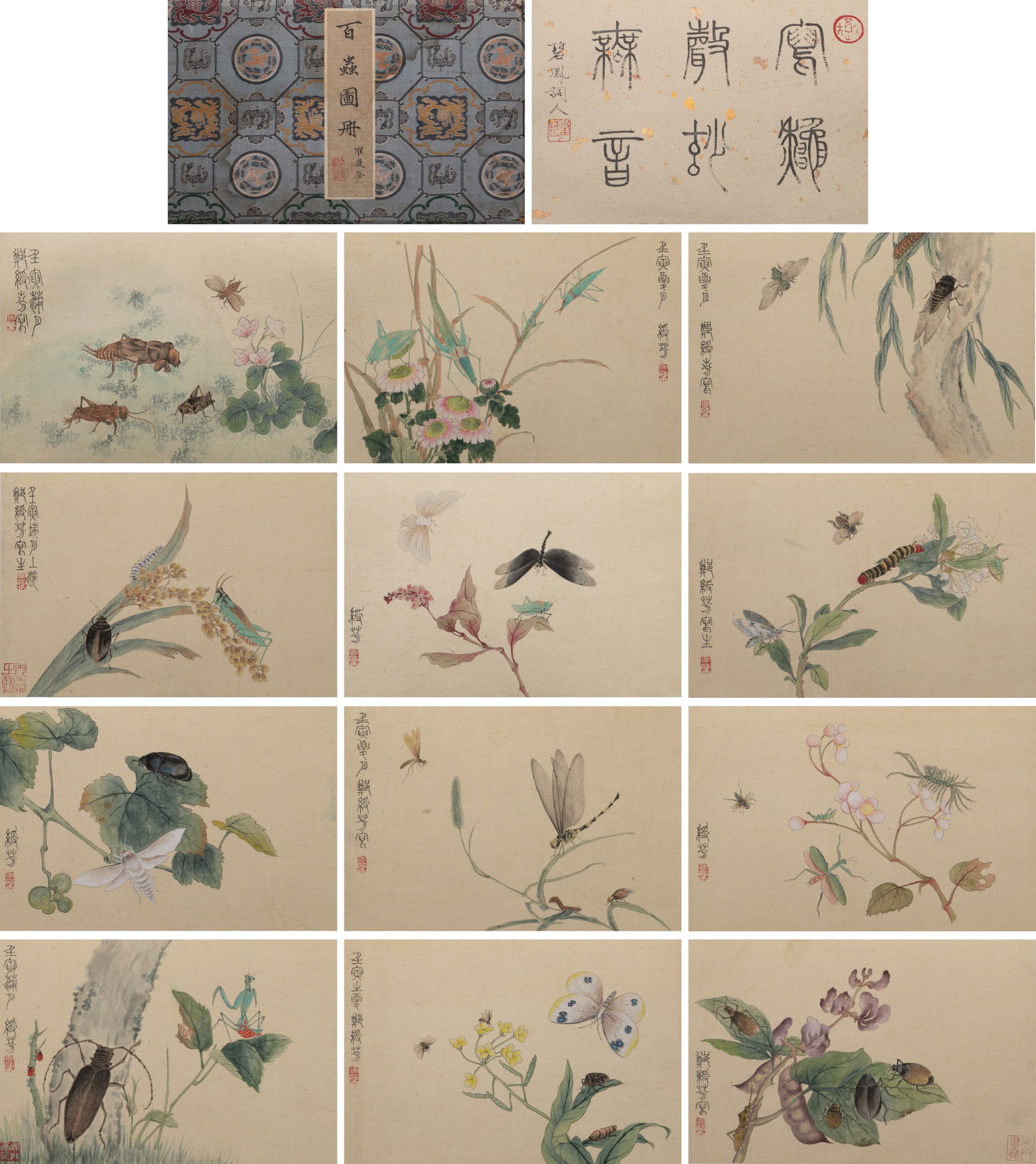 Zheng Shoufen's meticulous grass and insect album: Zheng Shoufen's meticulous grass and insect album