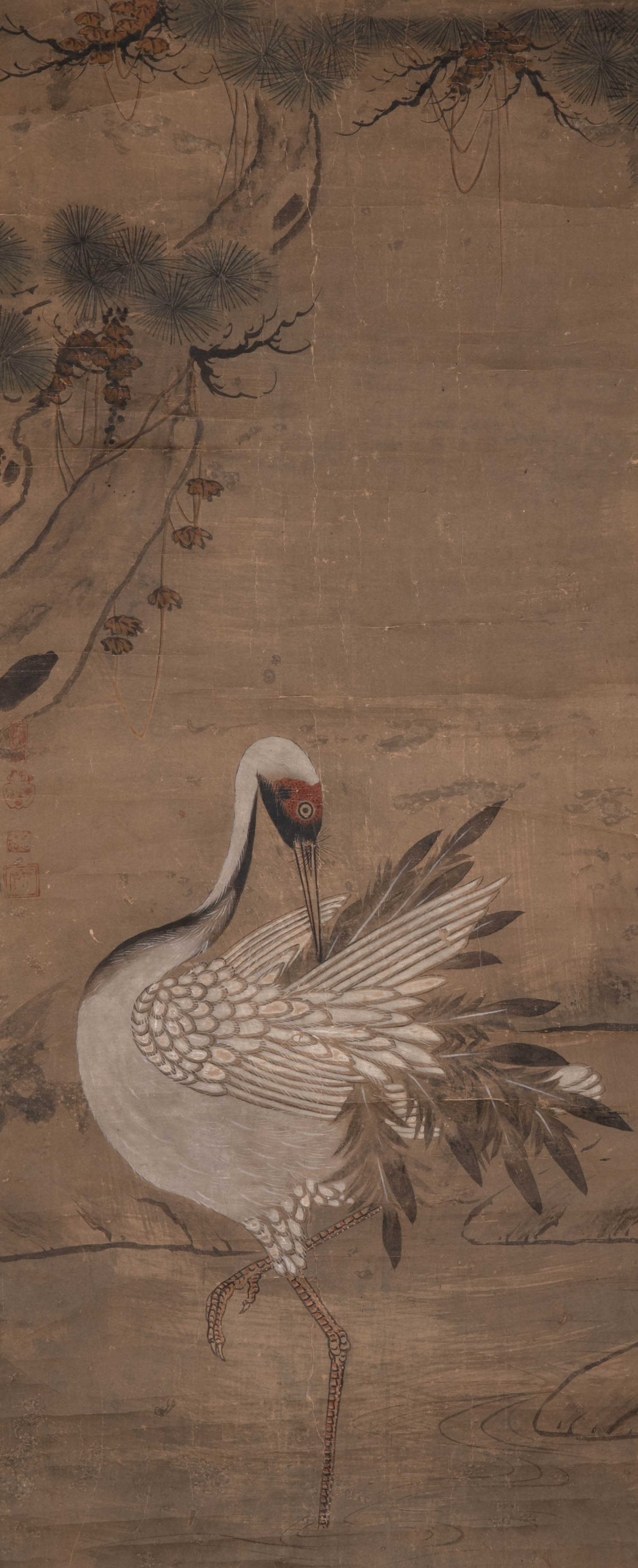 Anonymous Crane Dance: Anonymous Crane Dance