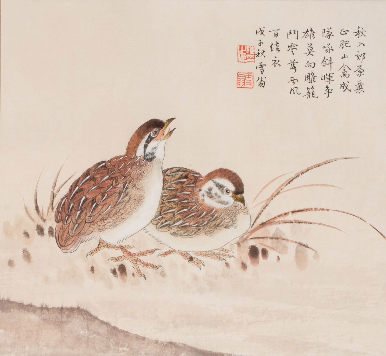 Chen Zhifo Quail: Chen Zhifo Quail