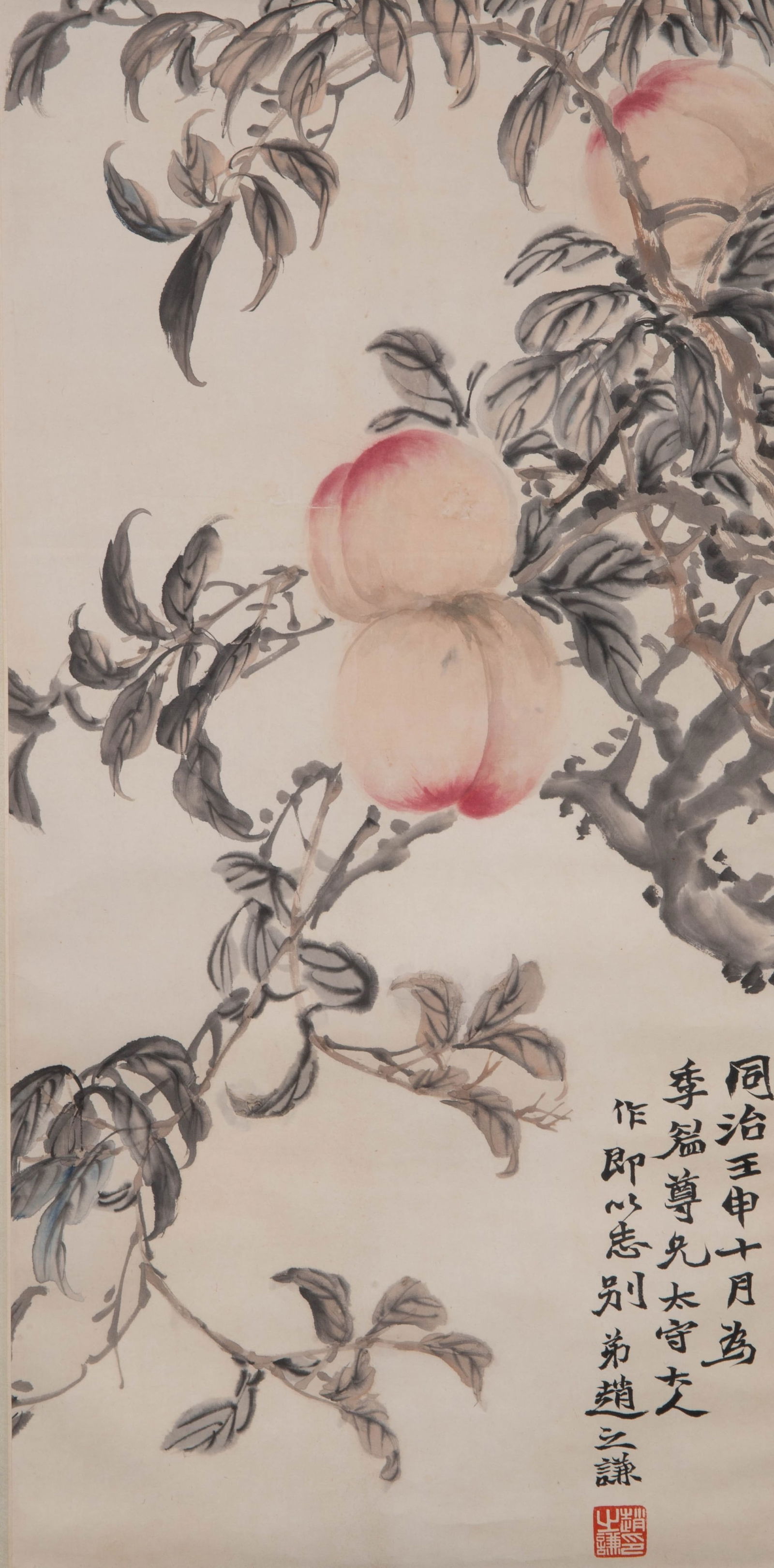 Zhao Zhiqian peach: Zhao Zhiqian peach