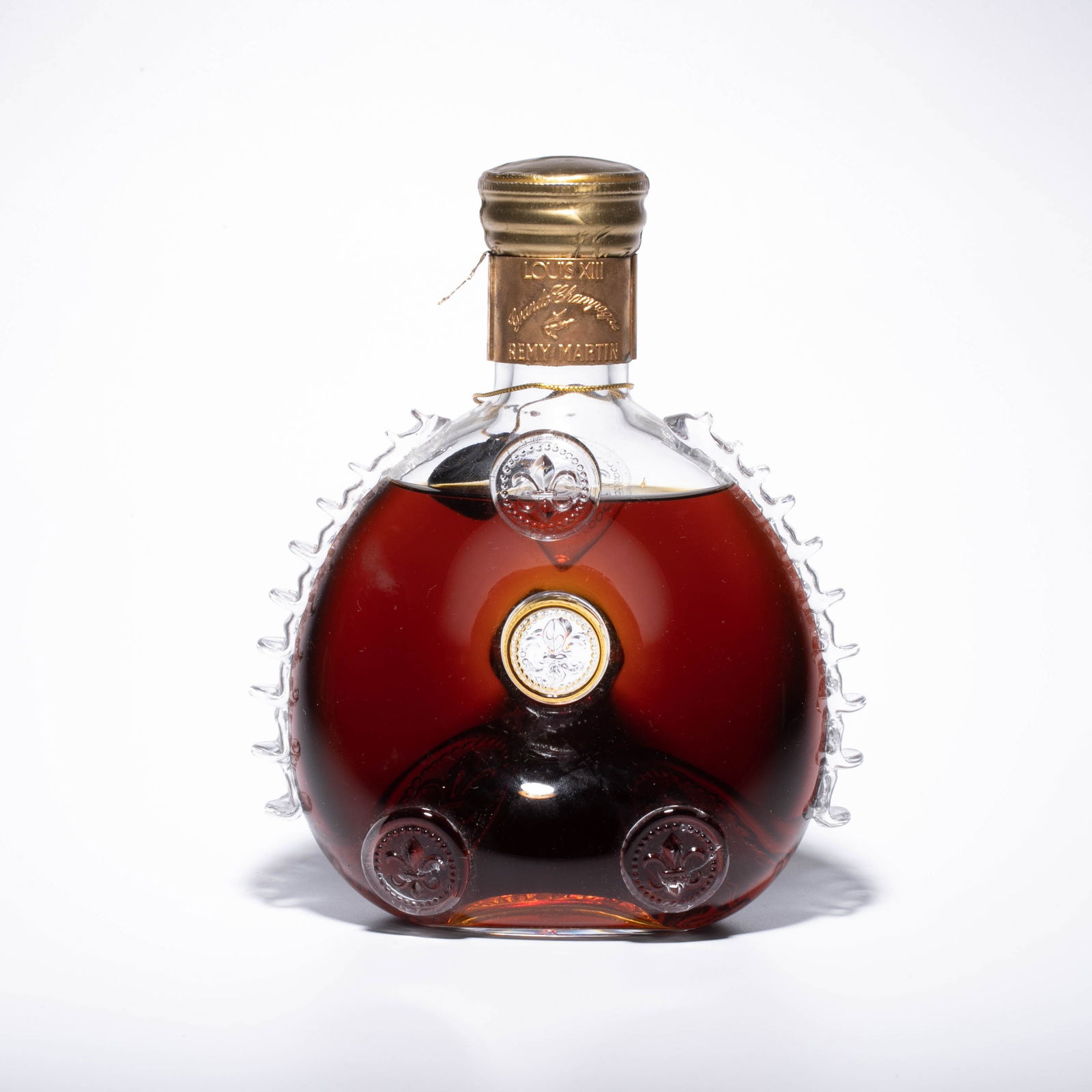 Louis XIII Thirteen Horses - 5