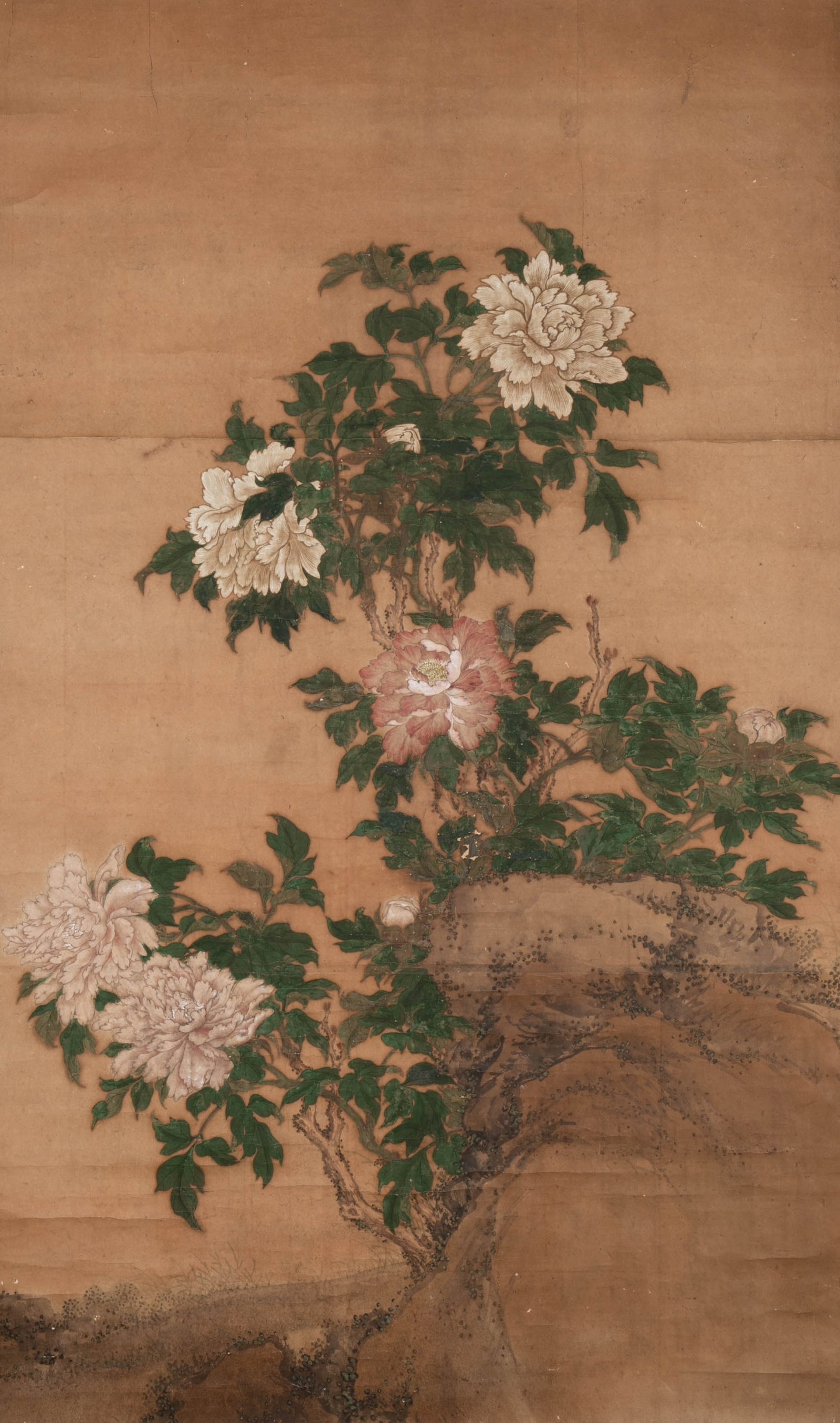 Ming Dynasty Anonymous Peony (1 of 8)