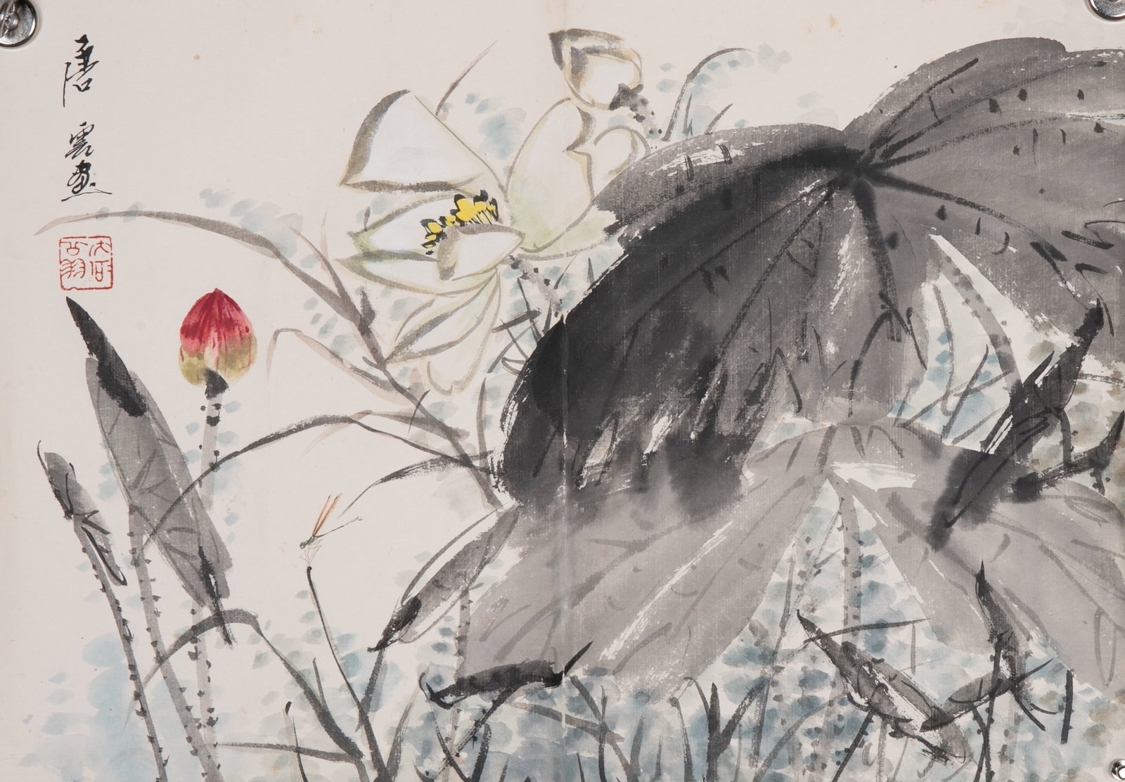 Tang Yun Lotus Pond (1 of 7)
