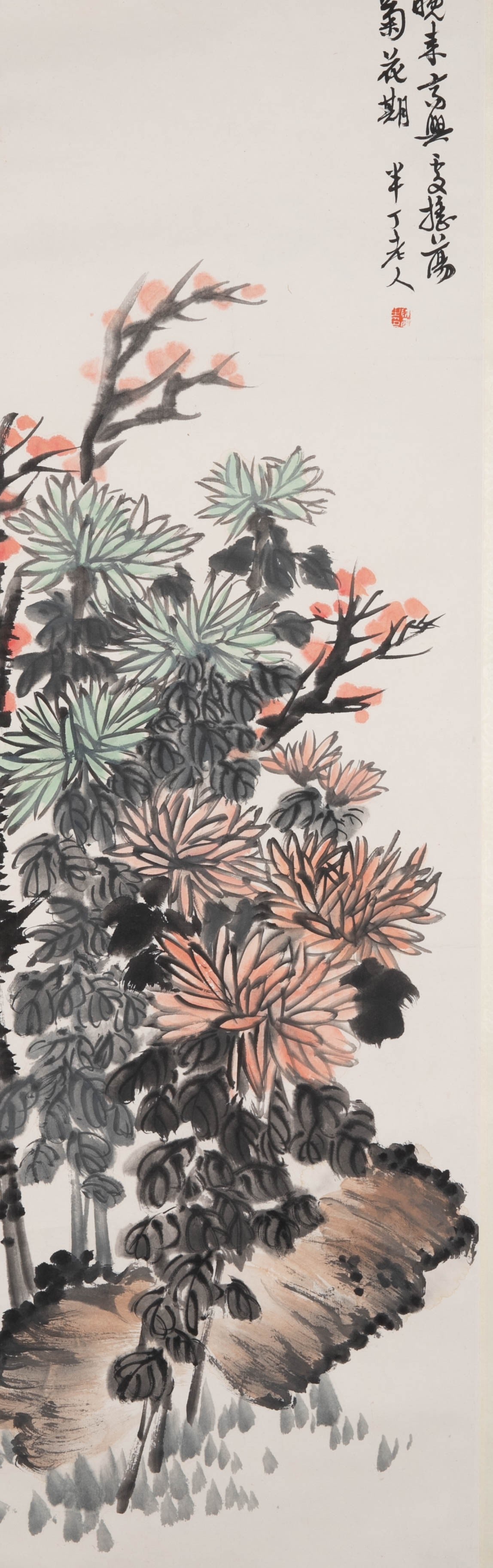 Chen Banding Chrysanthemum (1 of 6)