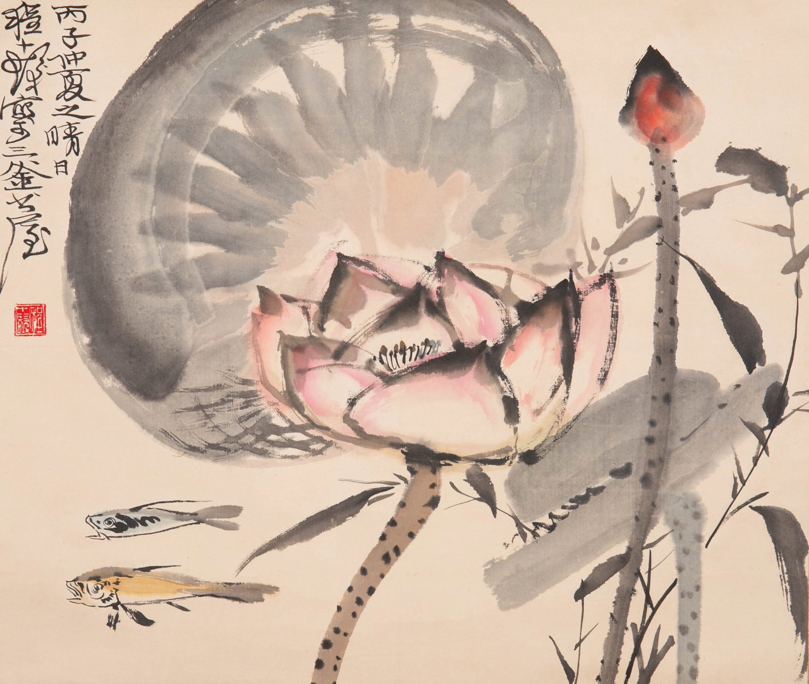 Cheng Shifa Lotus: Cheng Shifa Lotus