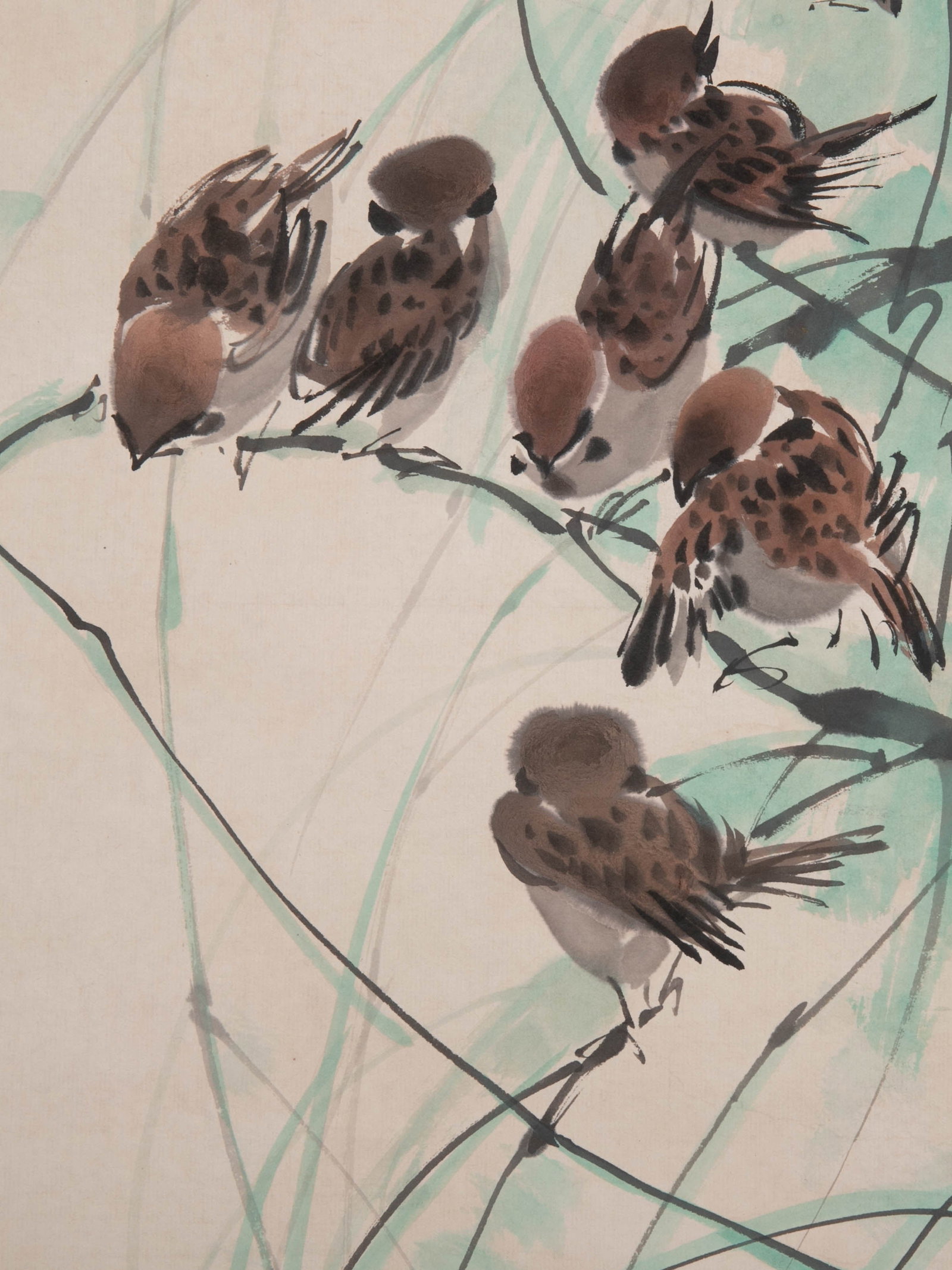 Yellow sparrow - 5