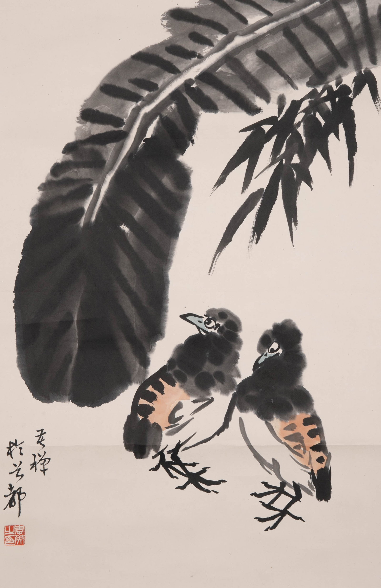 Li Kuchan chick (1 of 5)