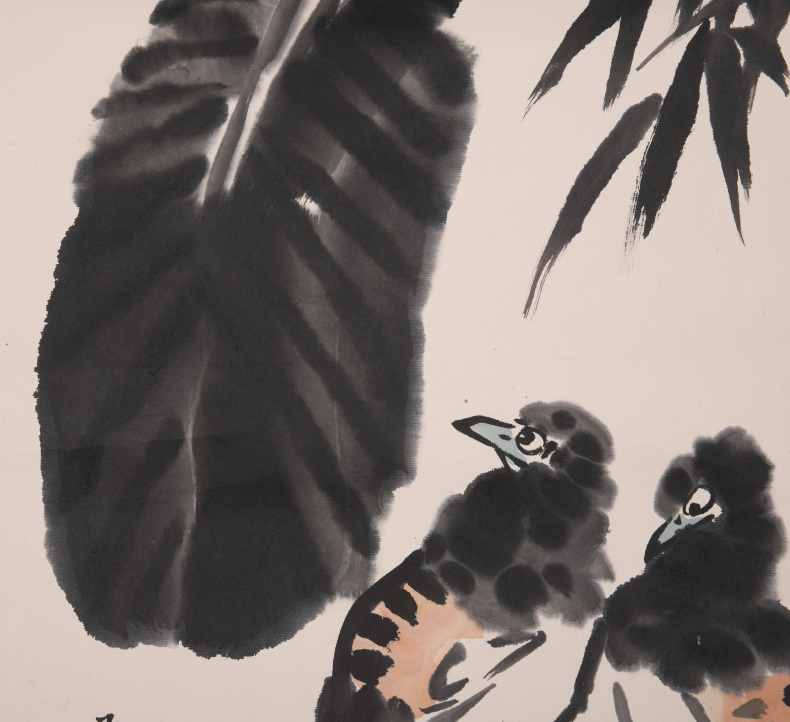 Li Kuchan chick - 3