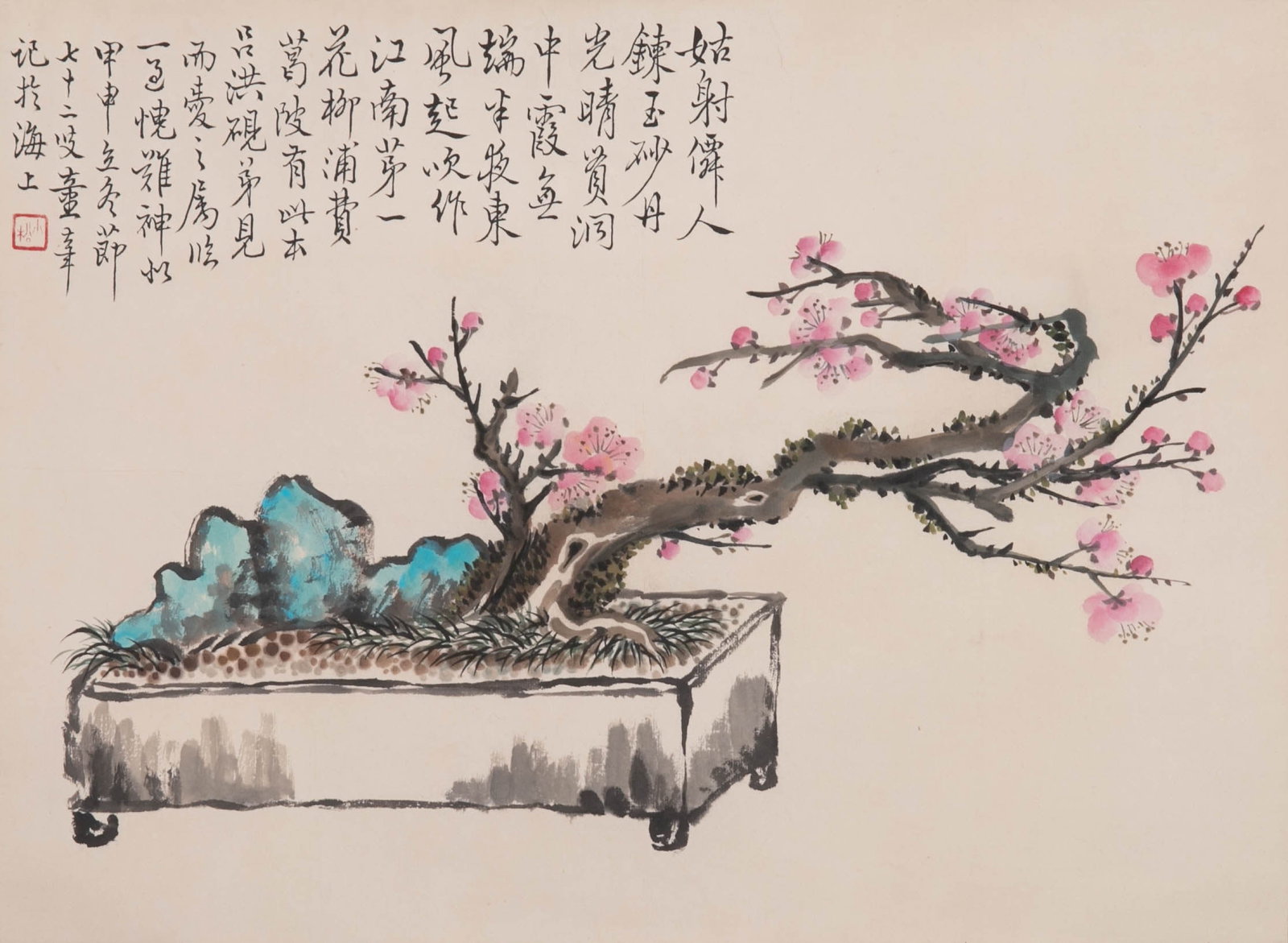 Tong Danian Plum Blossom Bonsai: Tong Danian Plum Blossom Bonsai