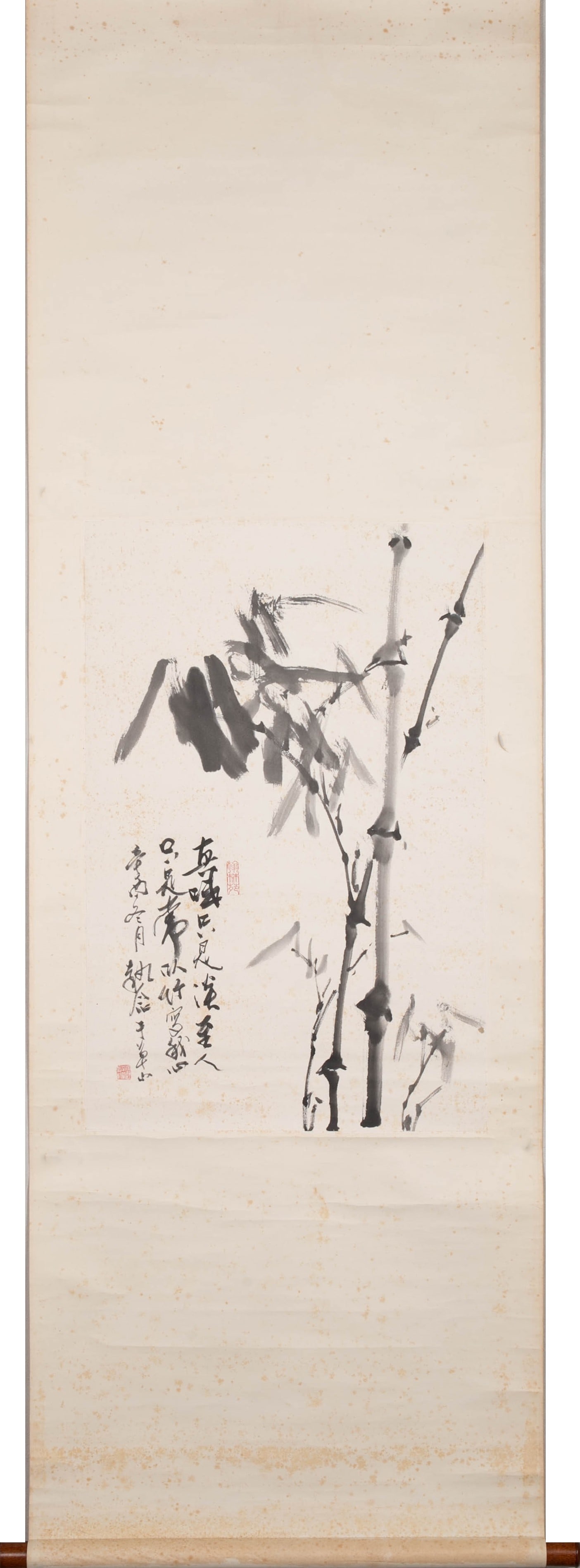 Yellow leaf tree bamboo - 2